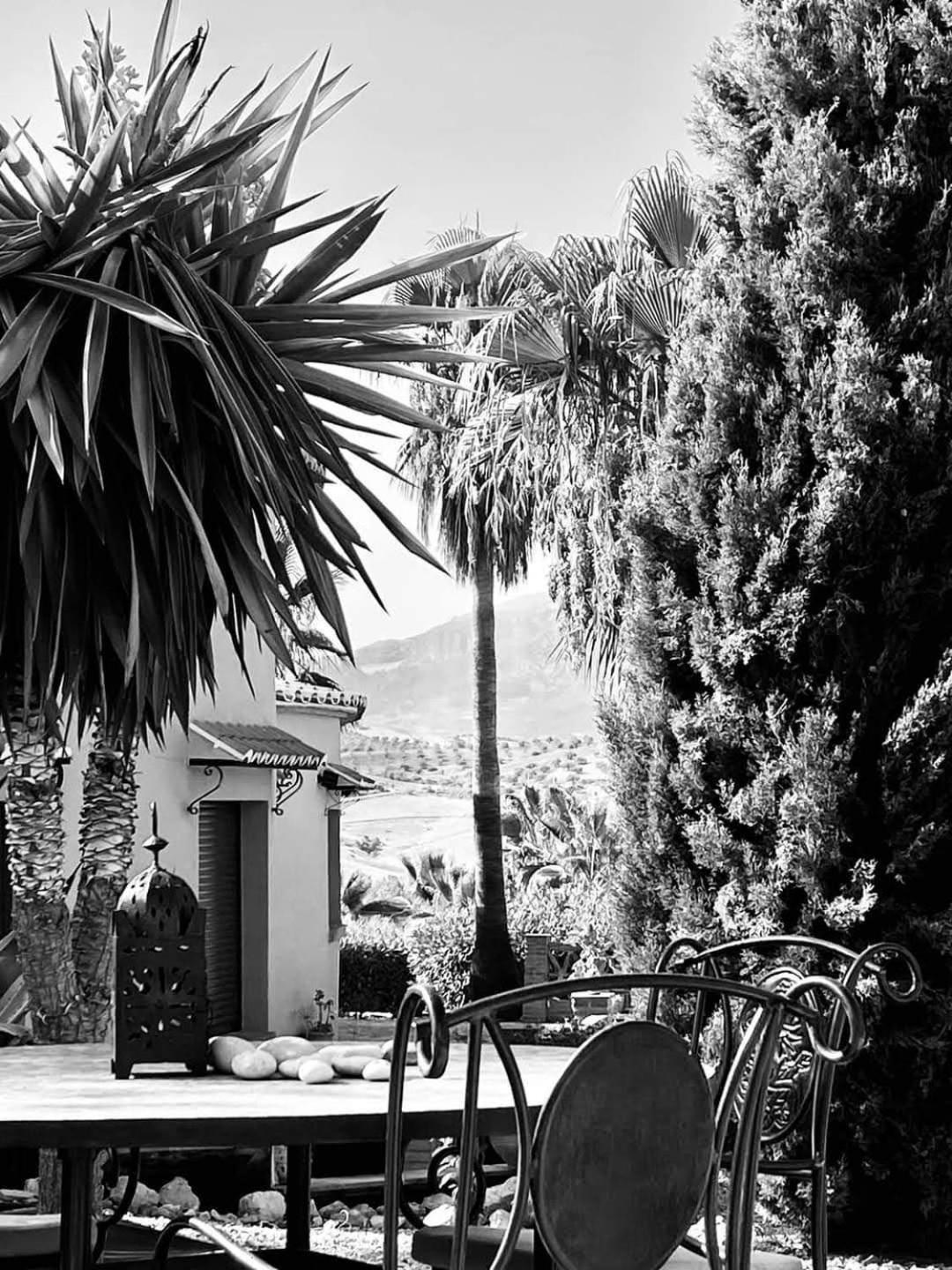 Premium Bed & Breakfast Casa Alegría Andaluza