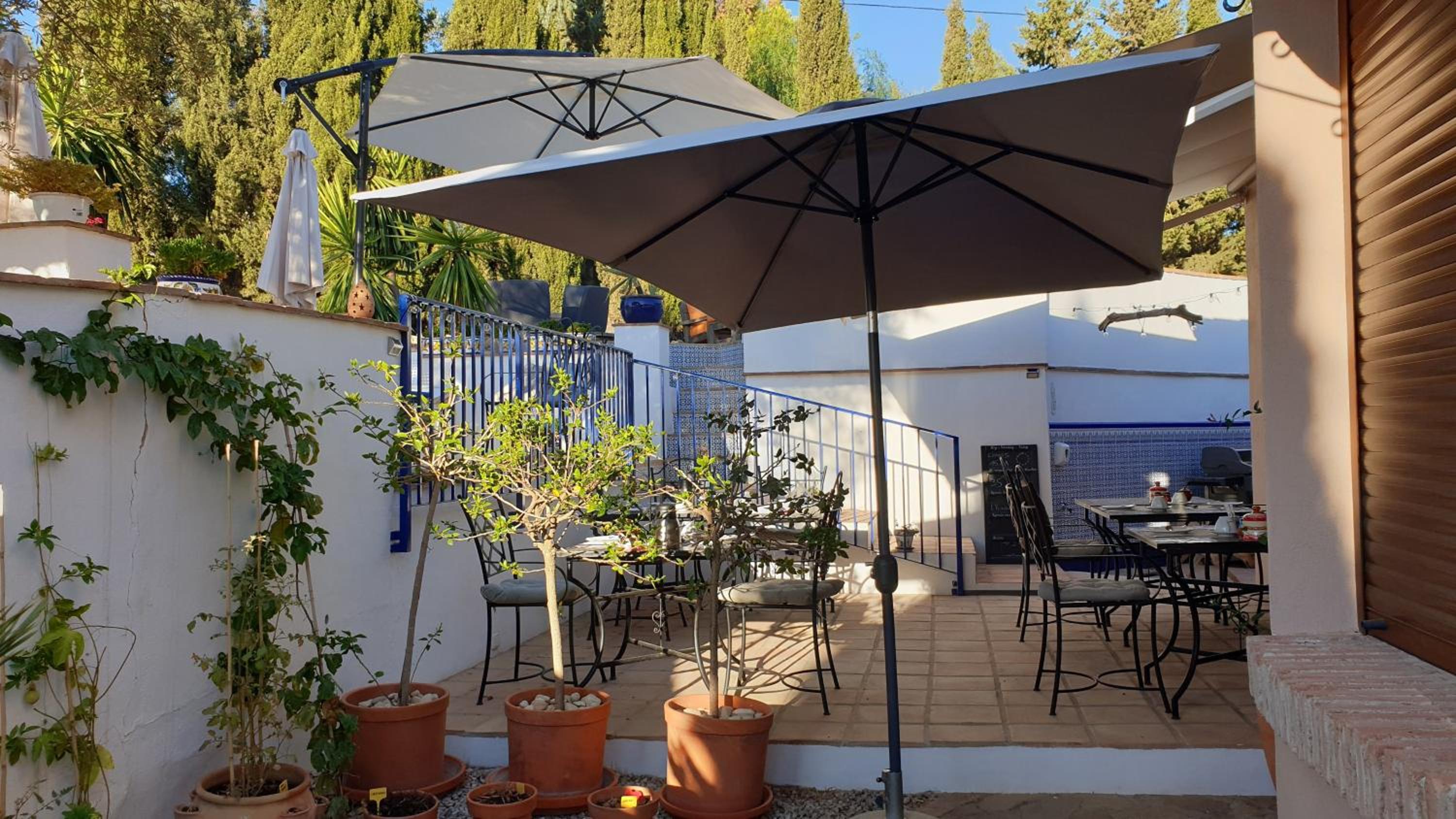 Premium Bed & Breakfast Casa Alegría Andaluza