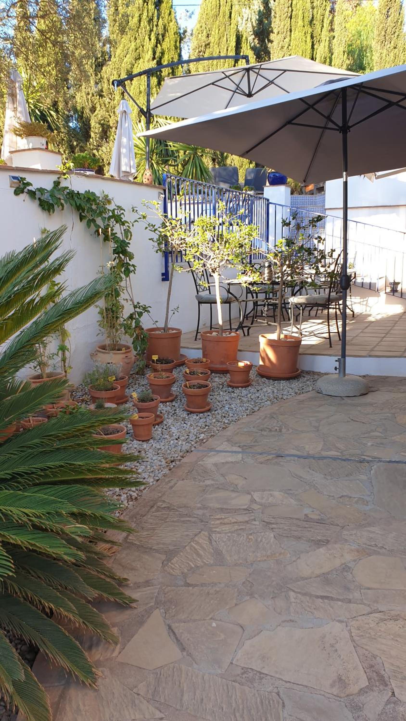 Premium Bed & Breakfast Casa Alegría Andaluza