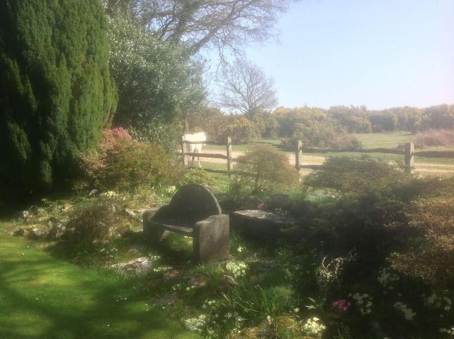 Photo 41