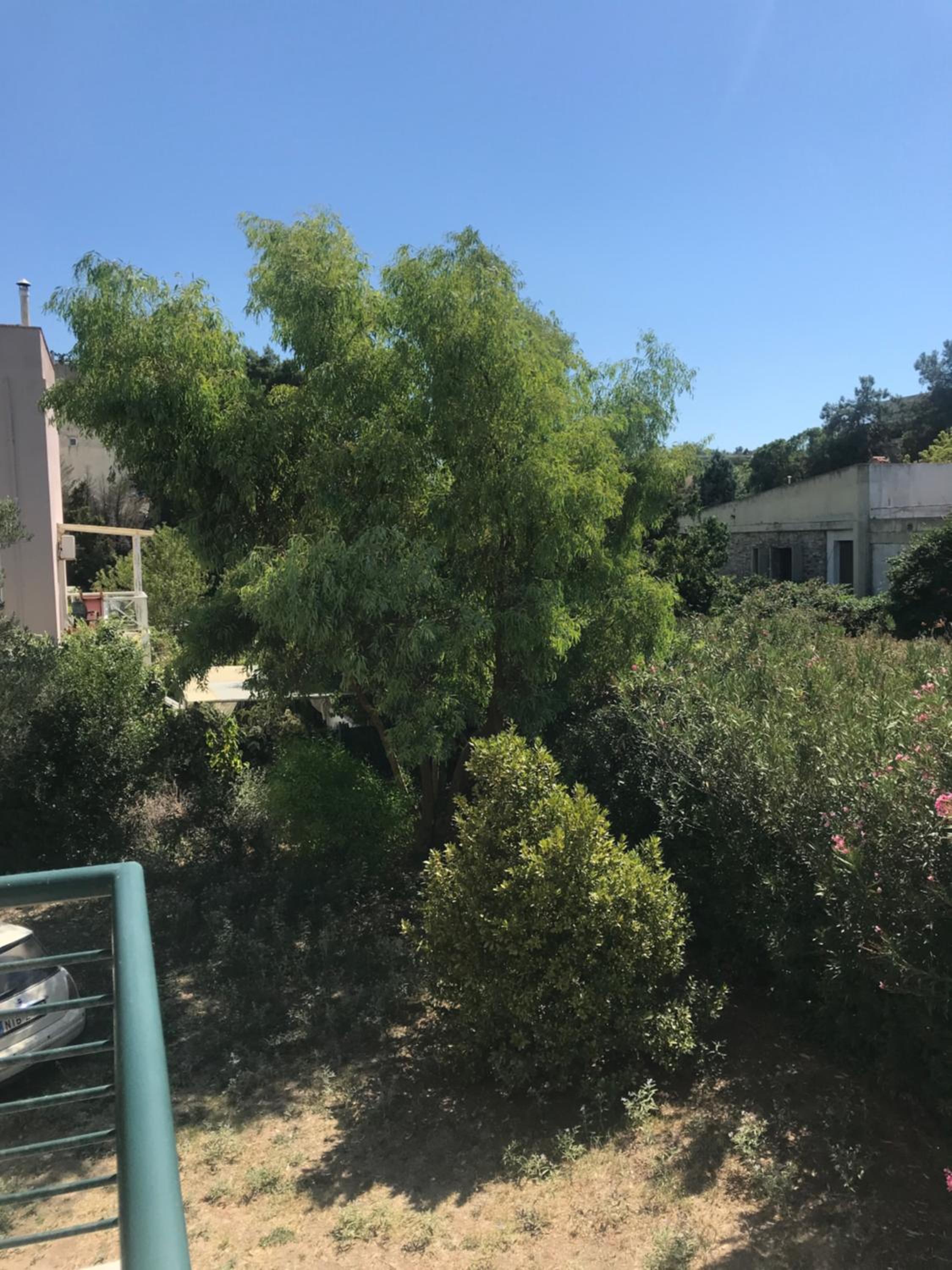 Hidden Gem Apartment
