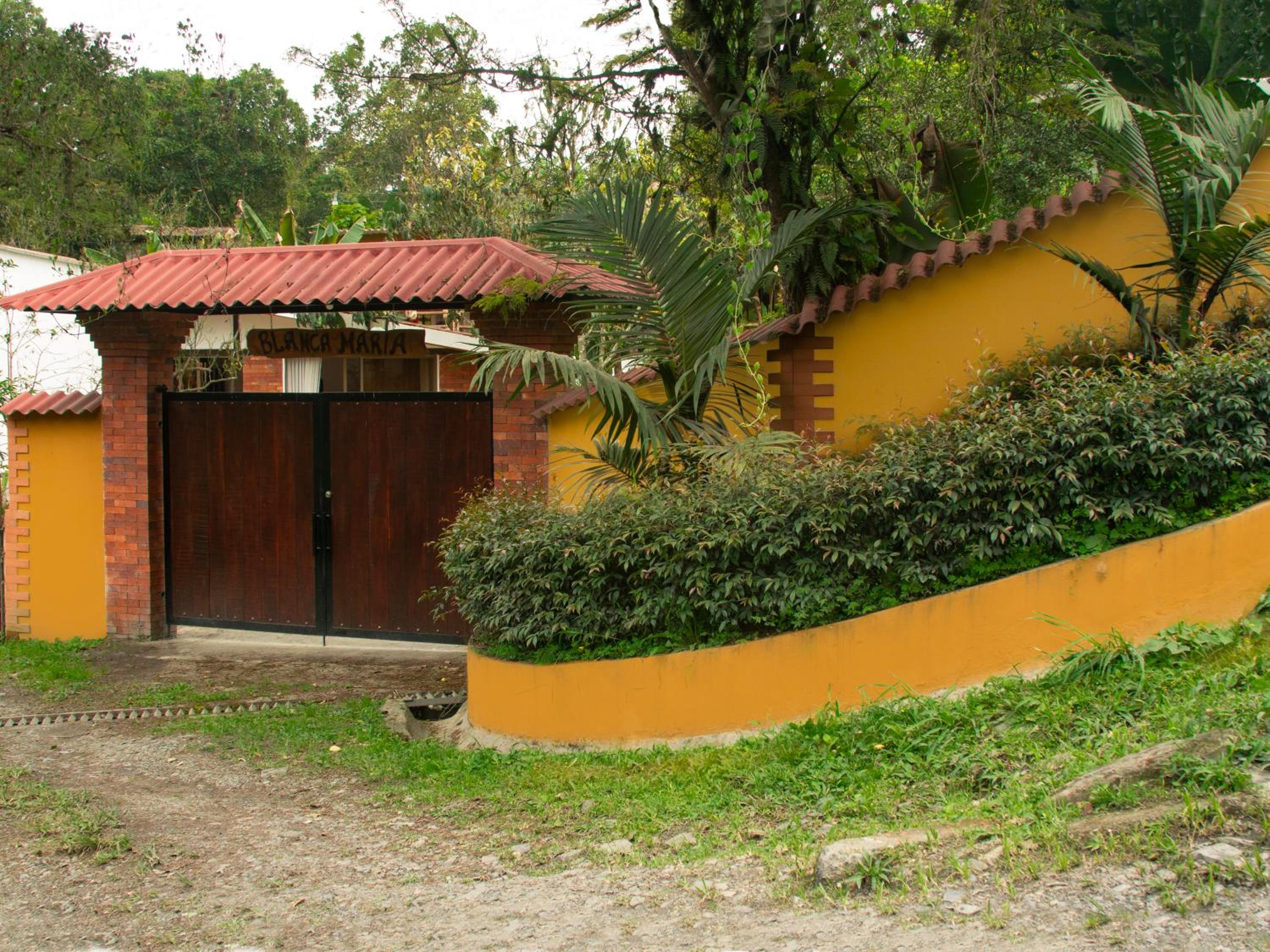 Photo 43