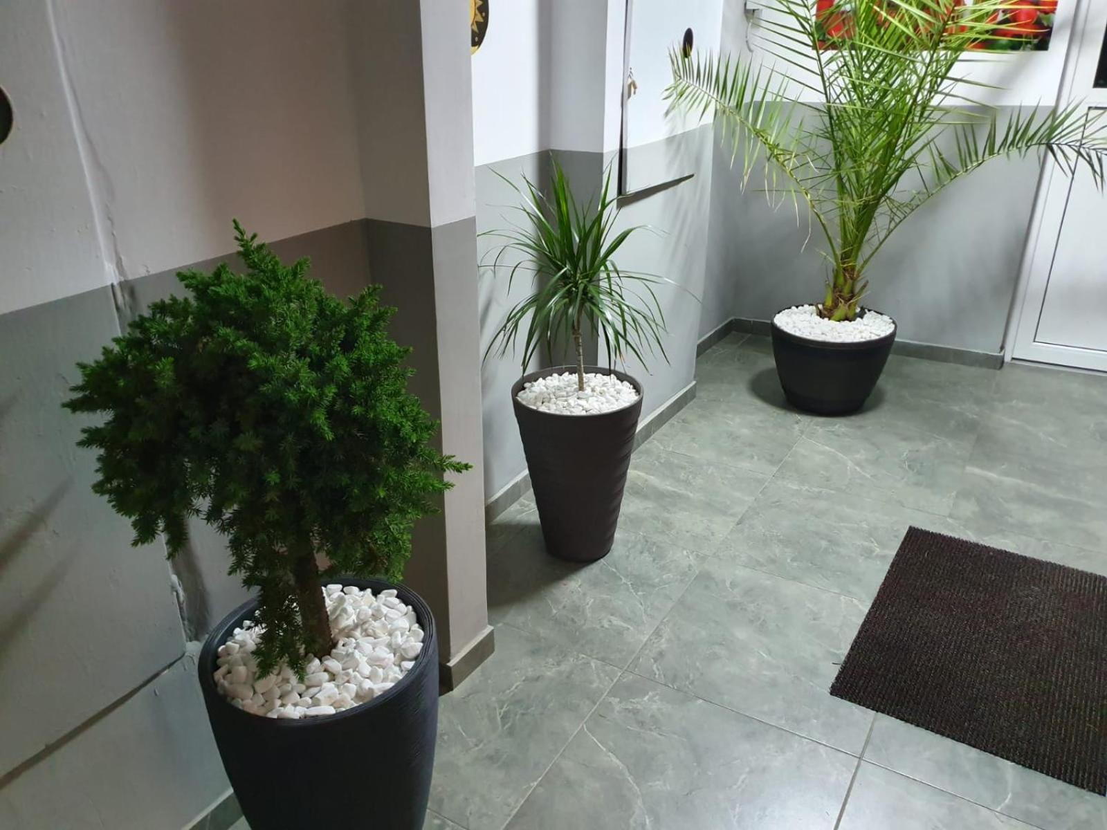 Apartament Luxury