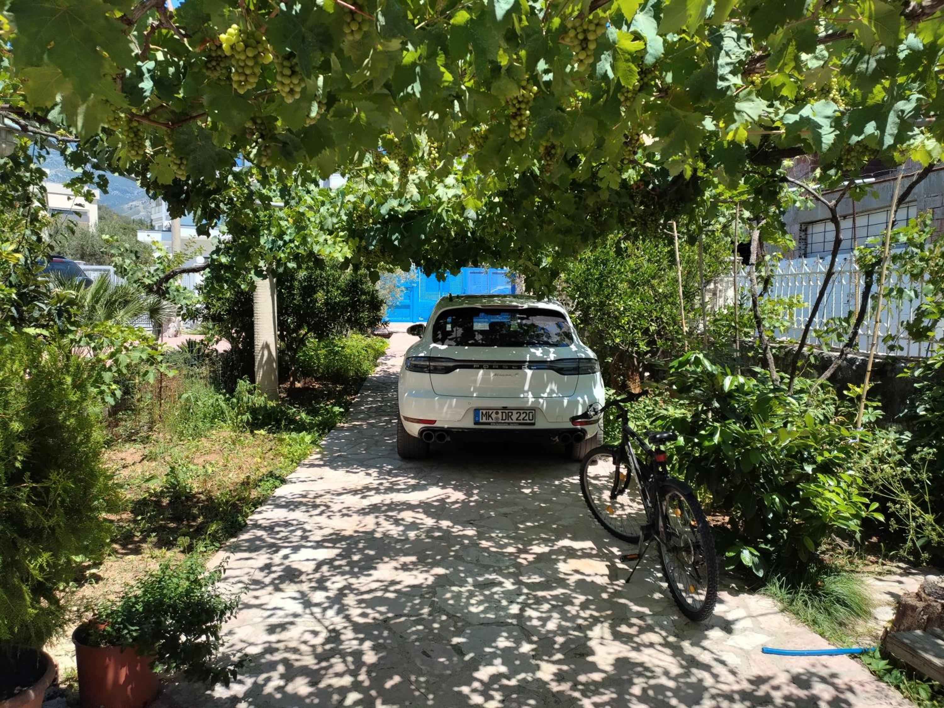 Magic Ionian Apartments & Rooms