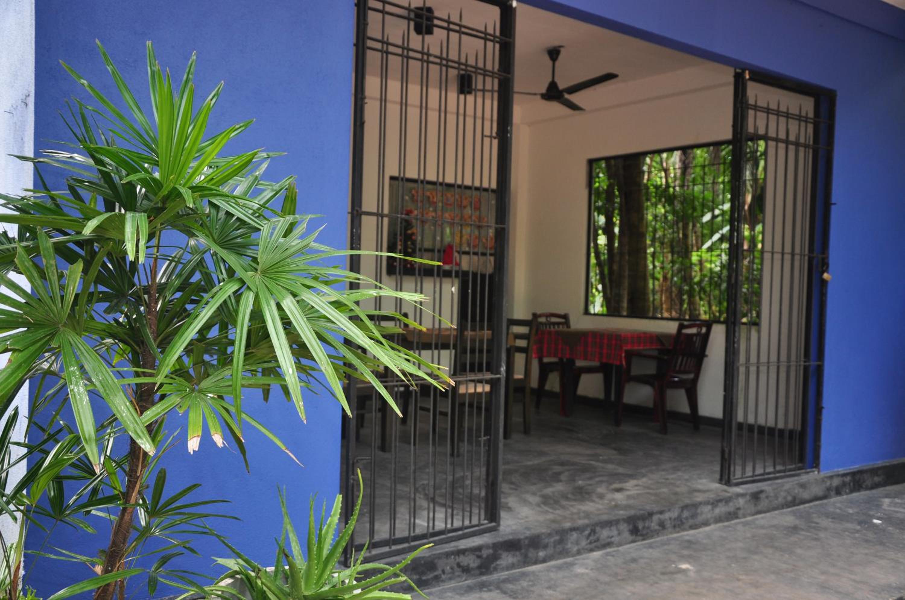Jungle Fence view 5