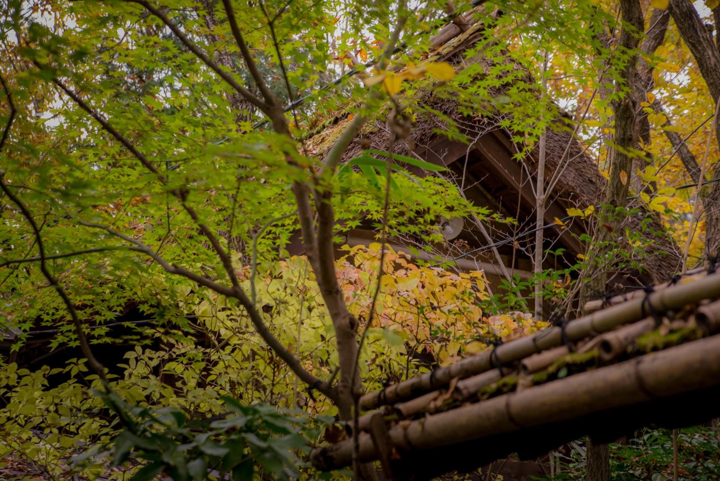 Kurokawa Onsen Oyado Noshiyu