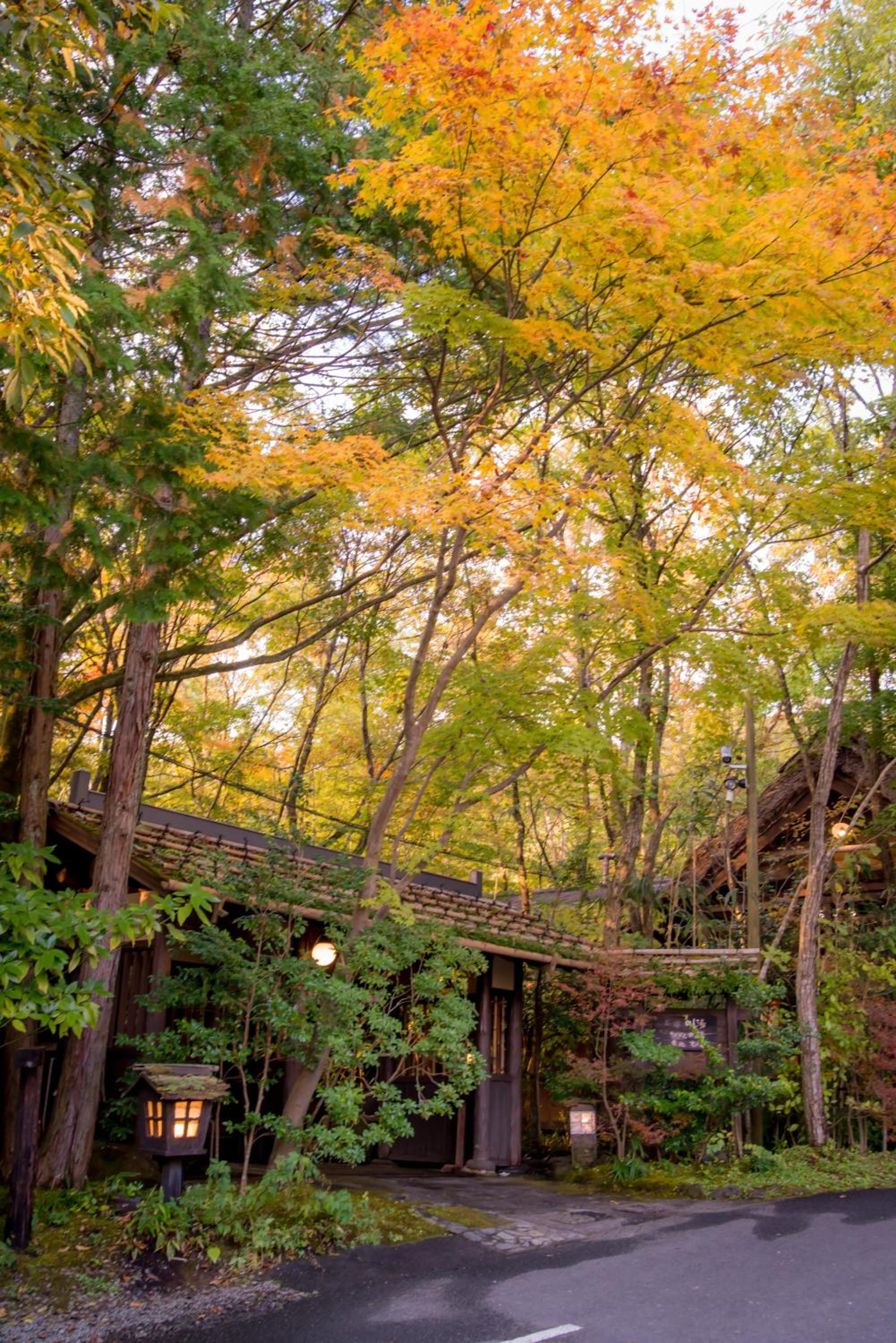 Kurokawa Onsen Oyado Noshiyu