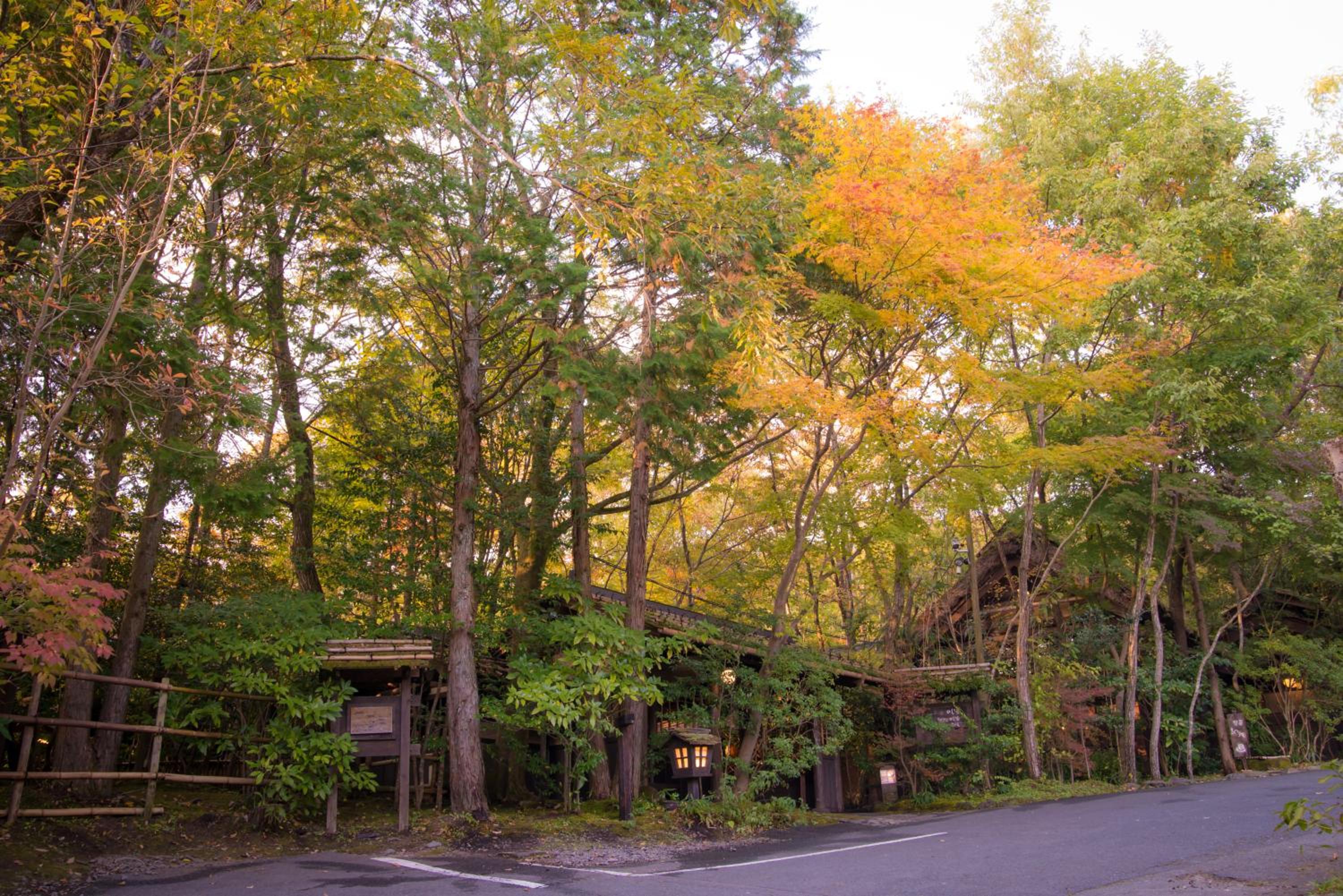 Kurokawa Onsen Oyado Noshiyu