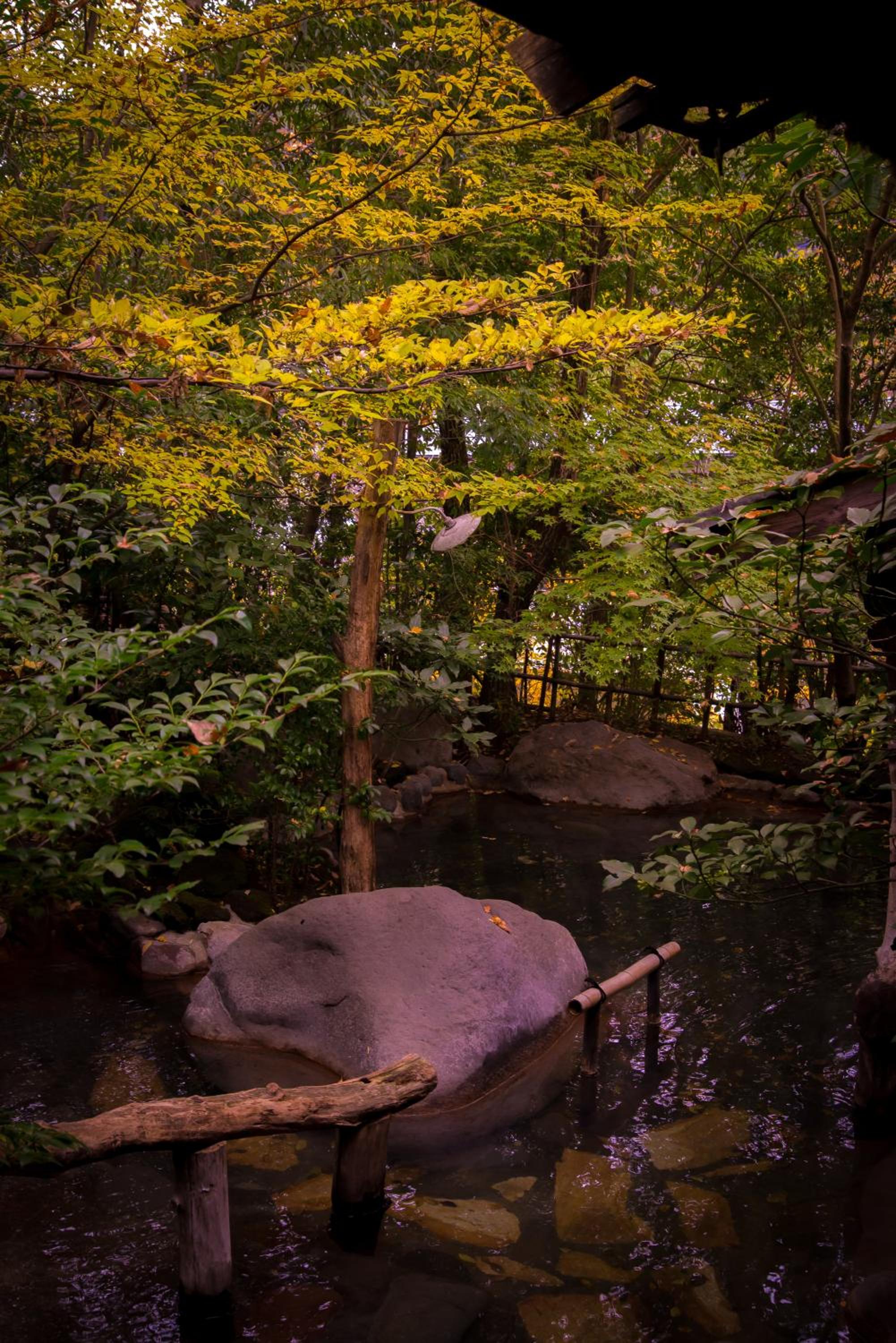 Kurokawa Onsen Oyado Noshiyu