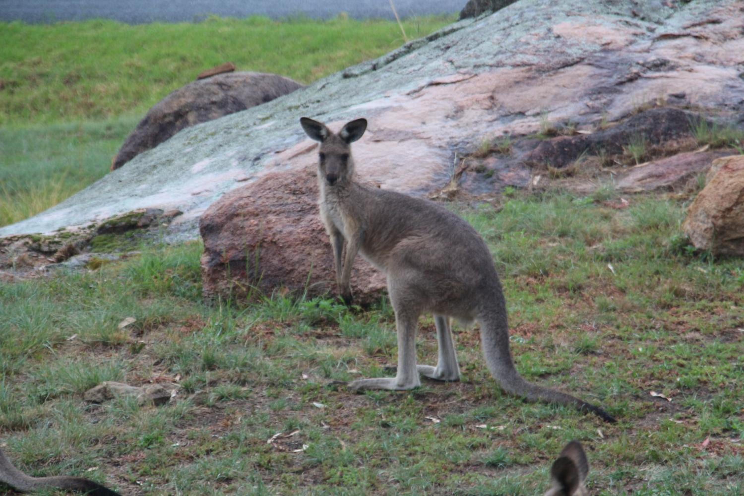 A Stanthorpe Getaway
