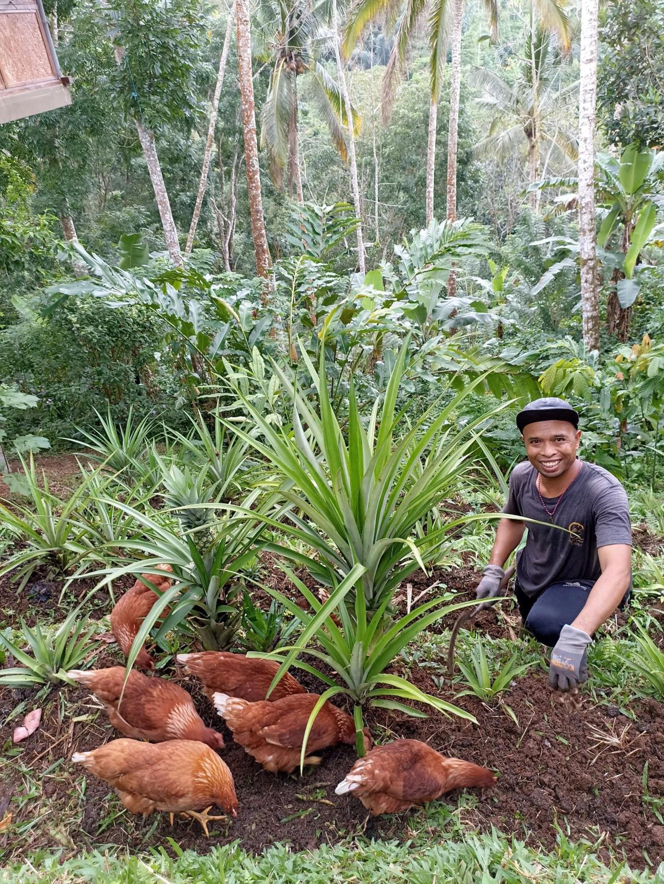 Sarinbuana Eco Lodge