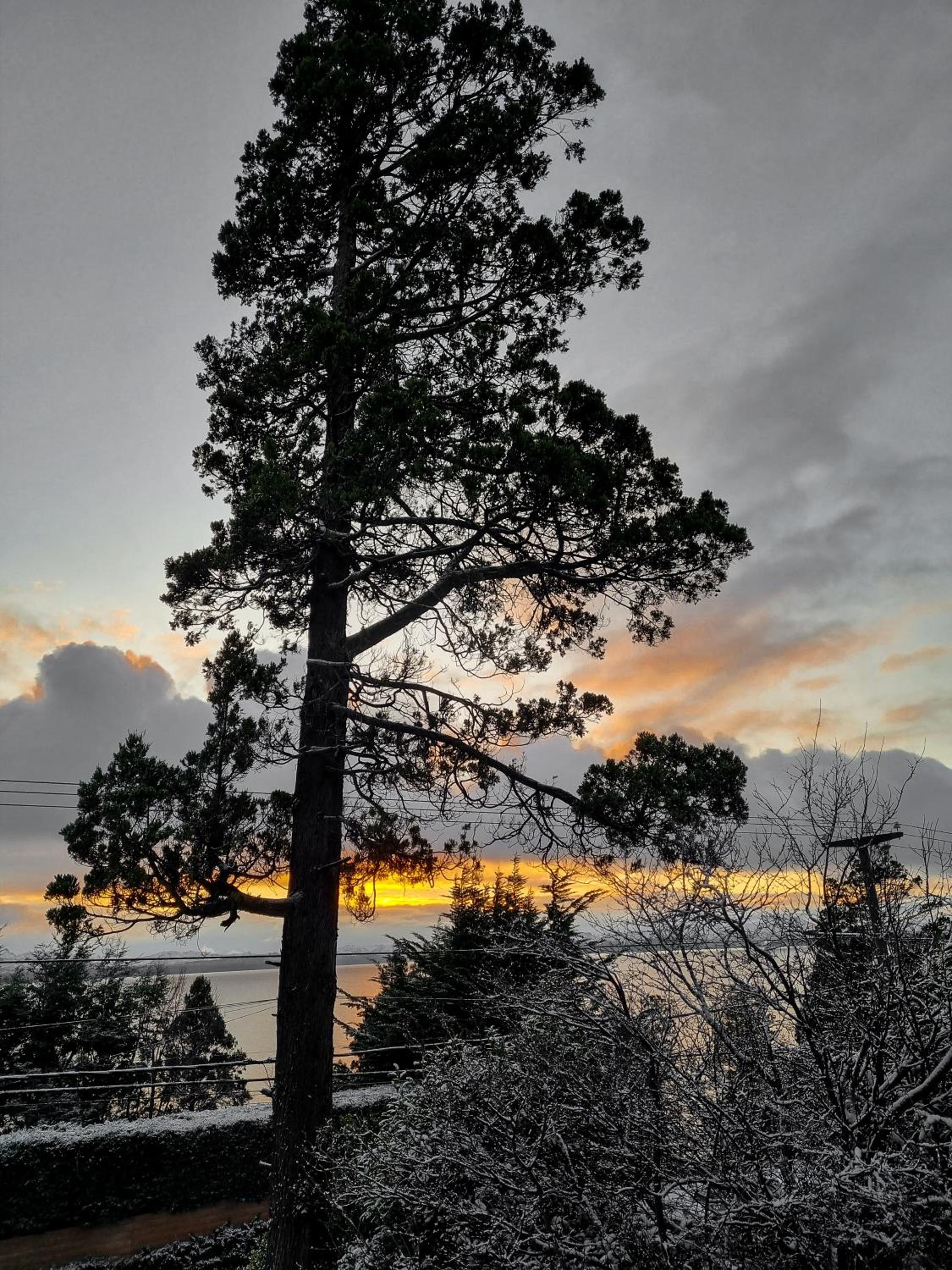 El Cencerro Bariloche