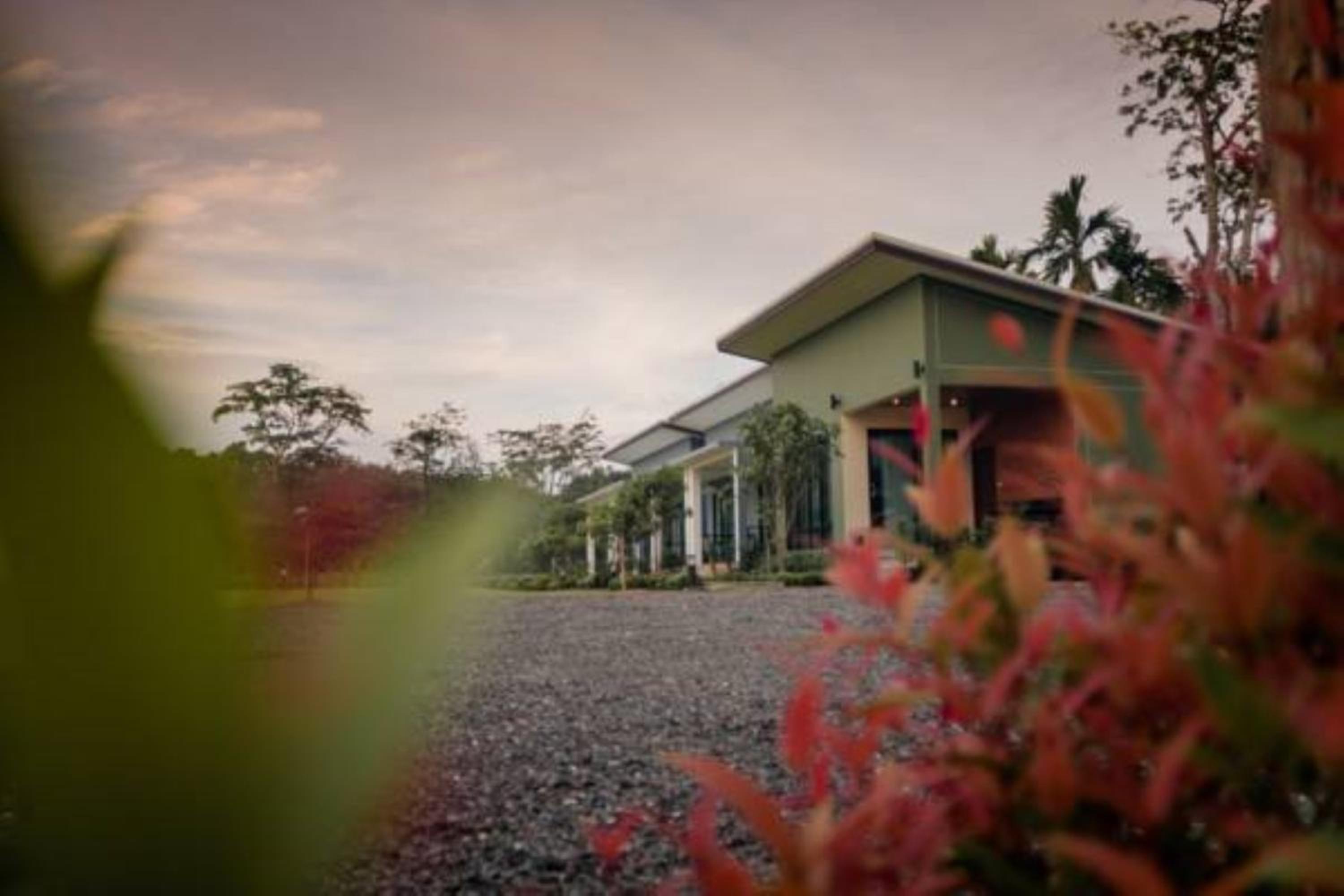 Photo 45
