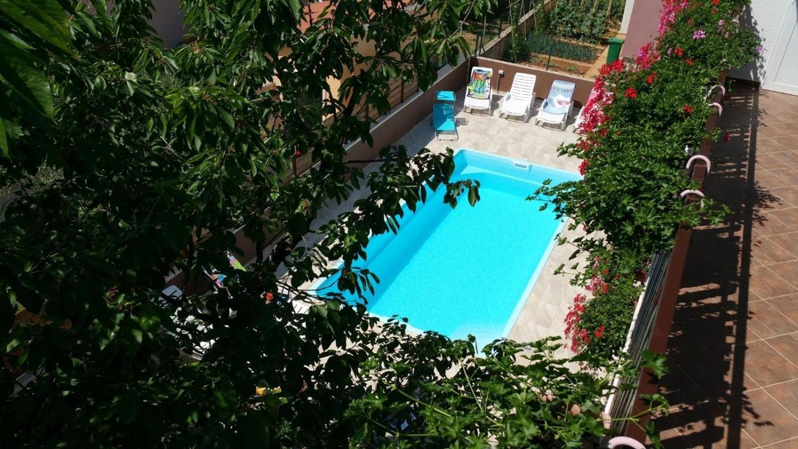 Family friendly apartments with a swimming pool Pula - 7610 view 4