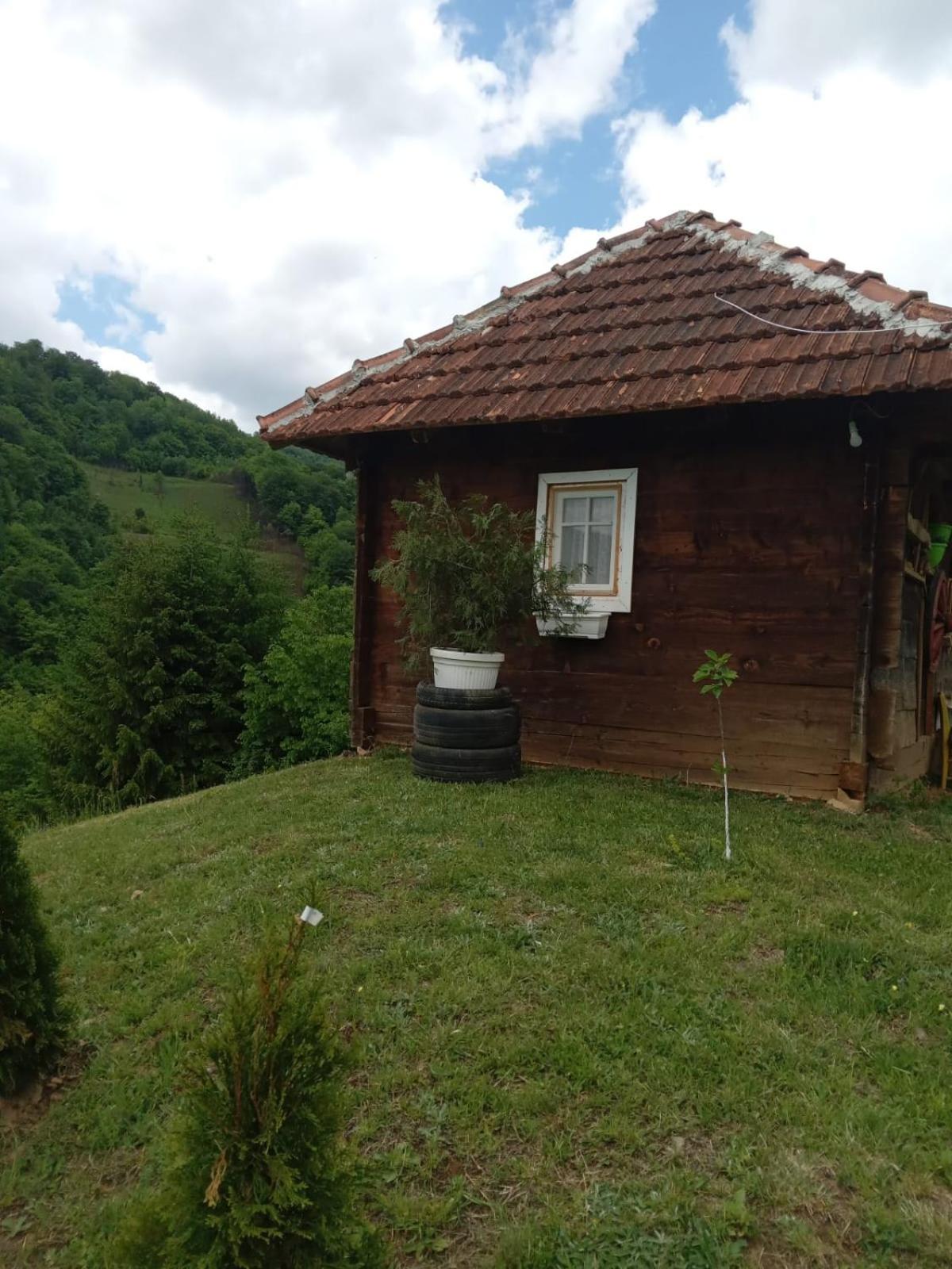 Photo 12