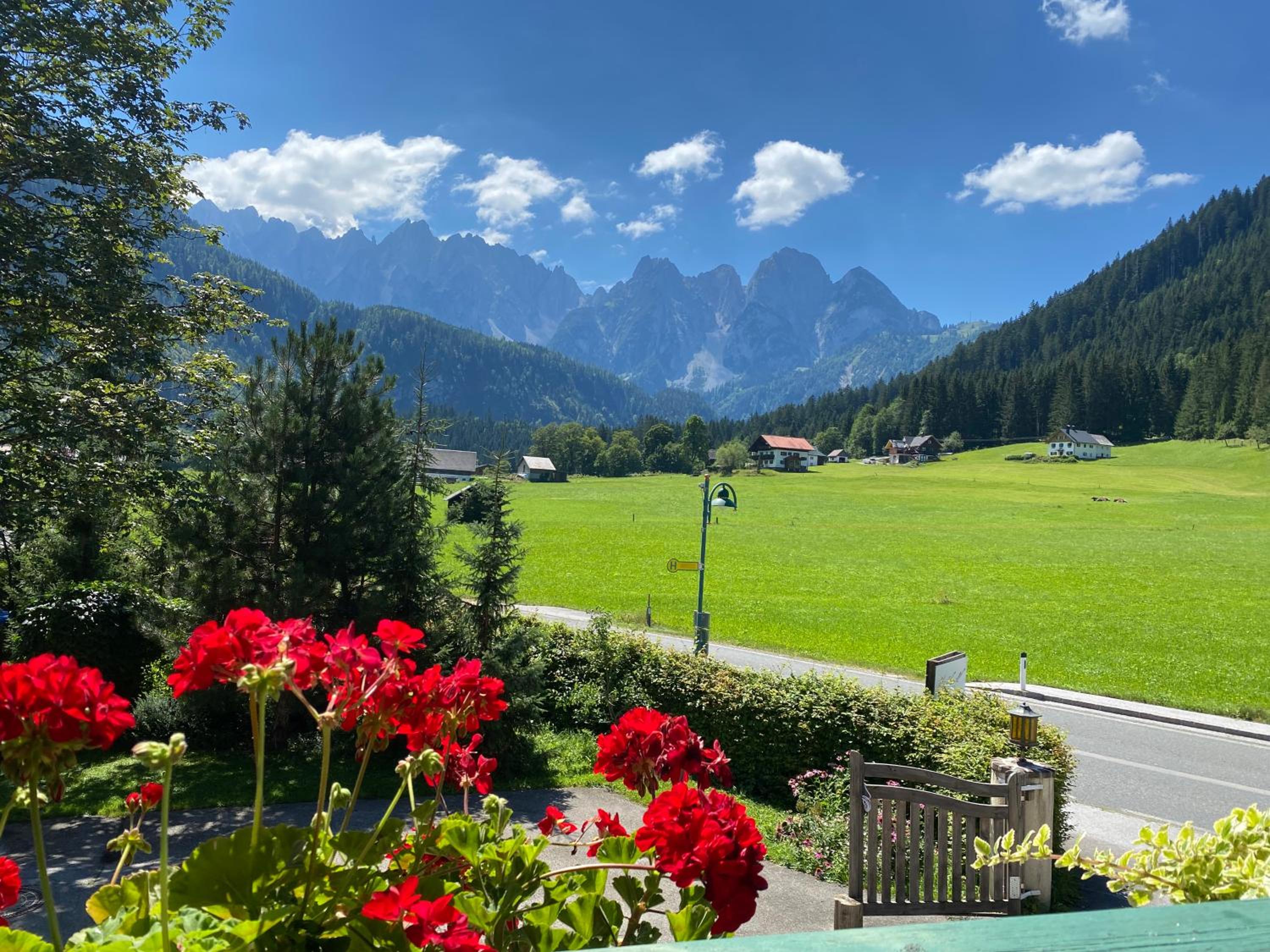 Mühlradl Apartments Gosau