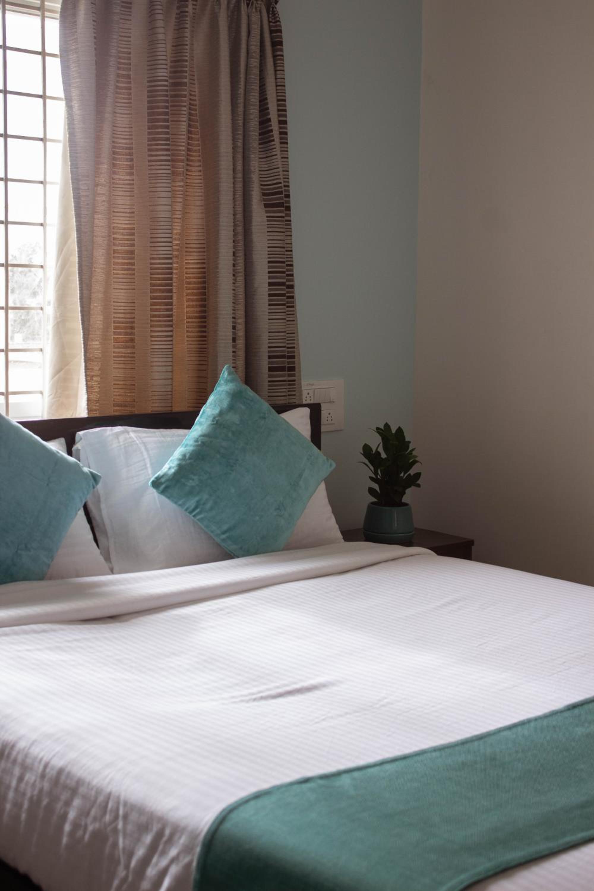 Catalyst Suites