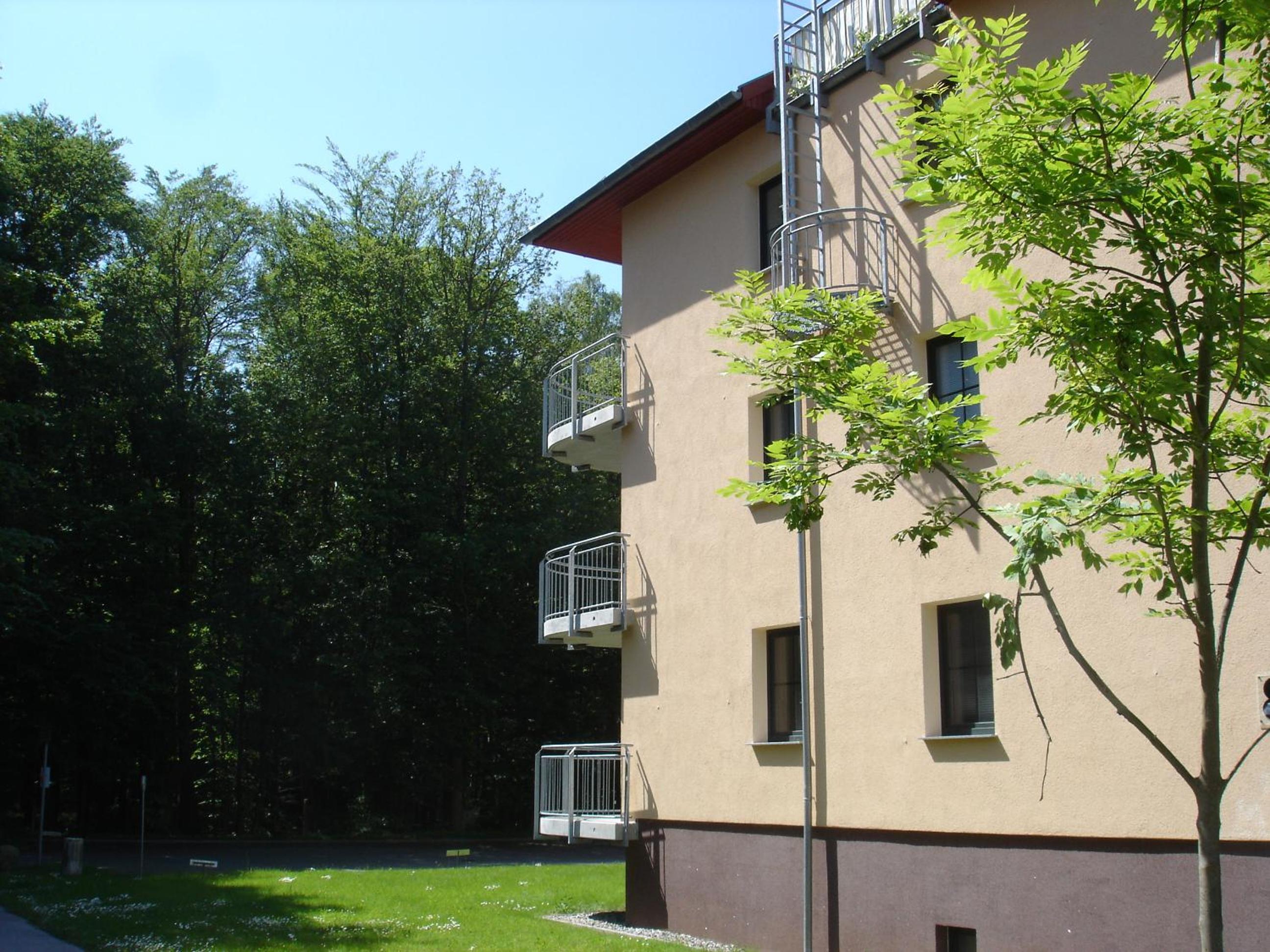 Am Waldrand App 16 - Seeadler
