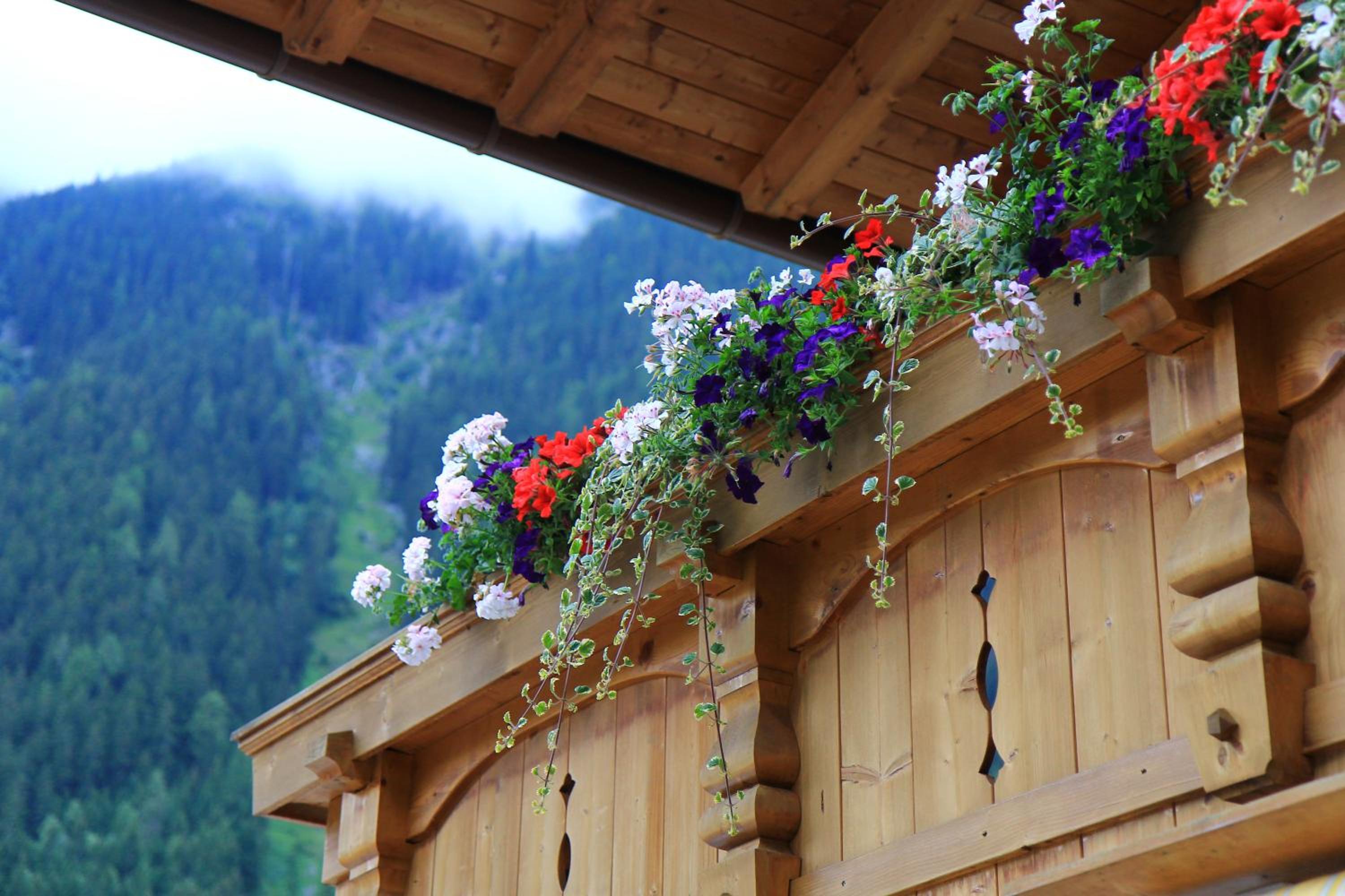 Haus Susanne