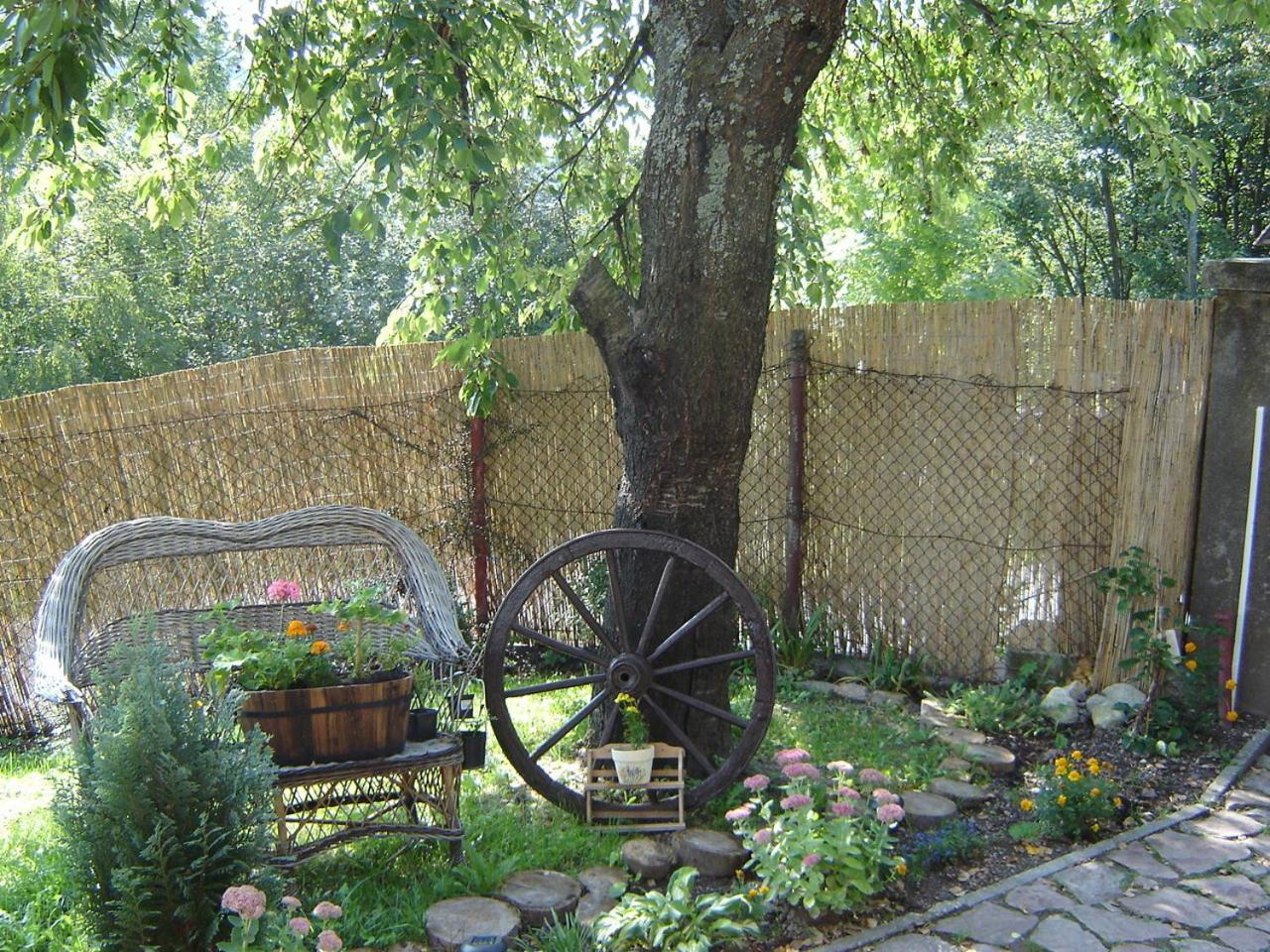 Photo 56