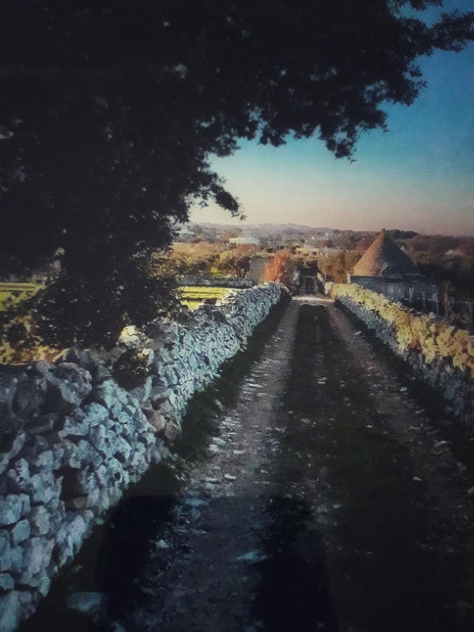 Casa Vacanze Valle d'Itria