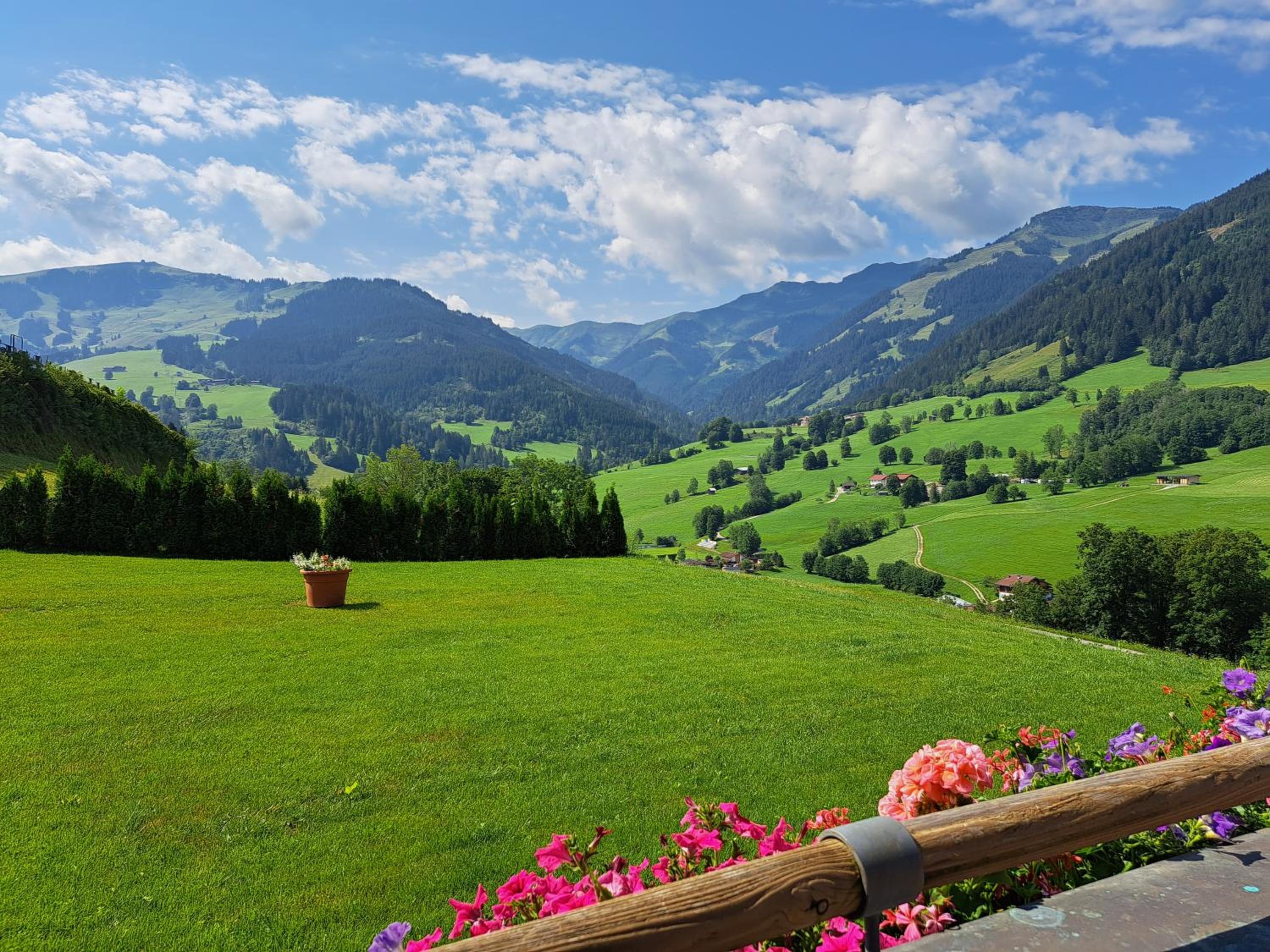 Sonnenheim