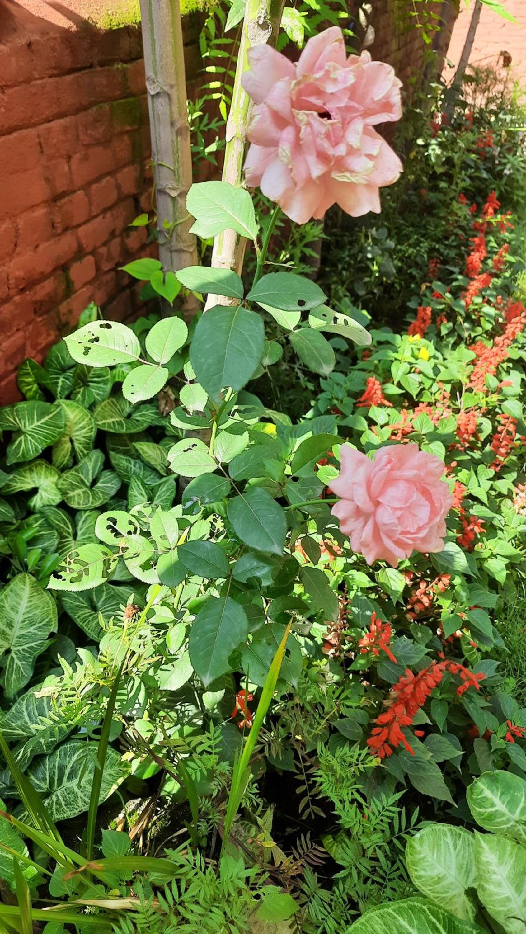 Photo 16