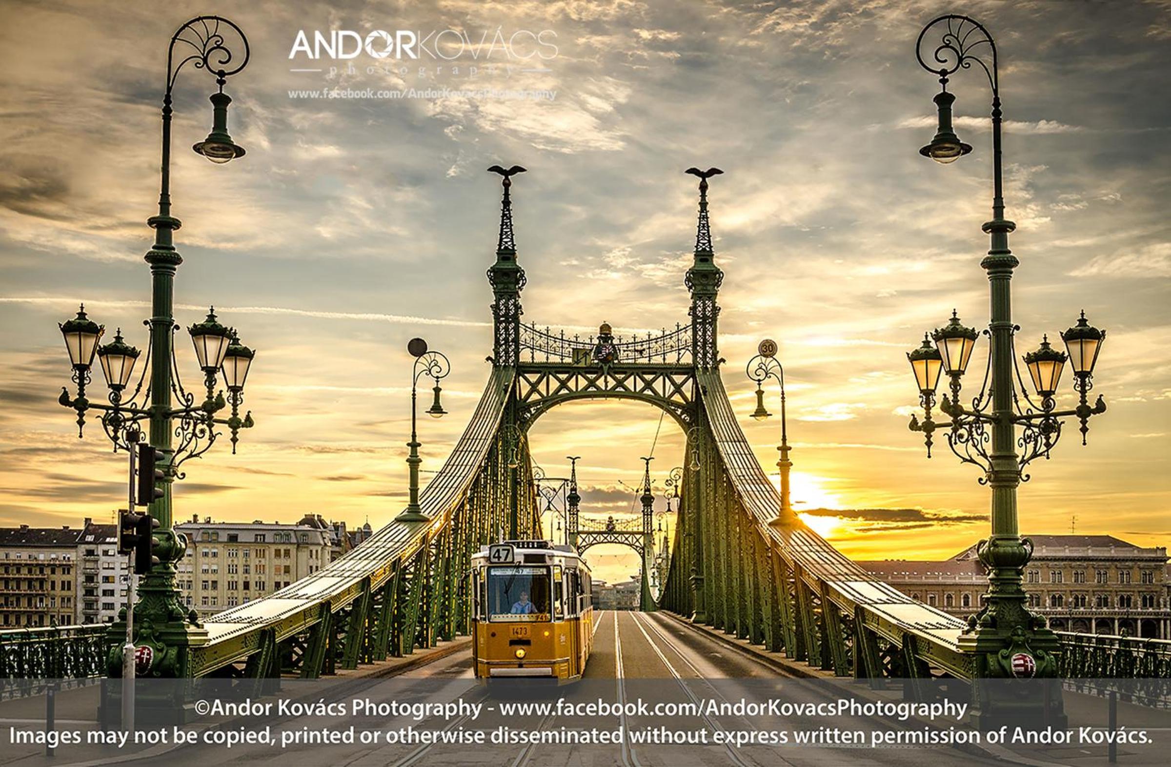 Anabelle Bed and Budapest