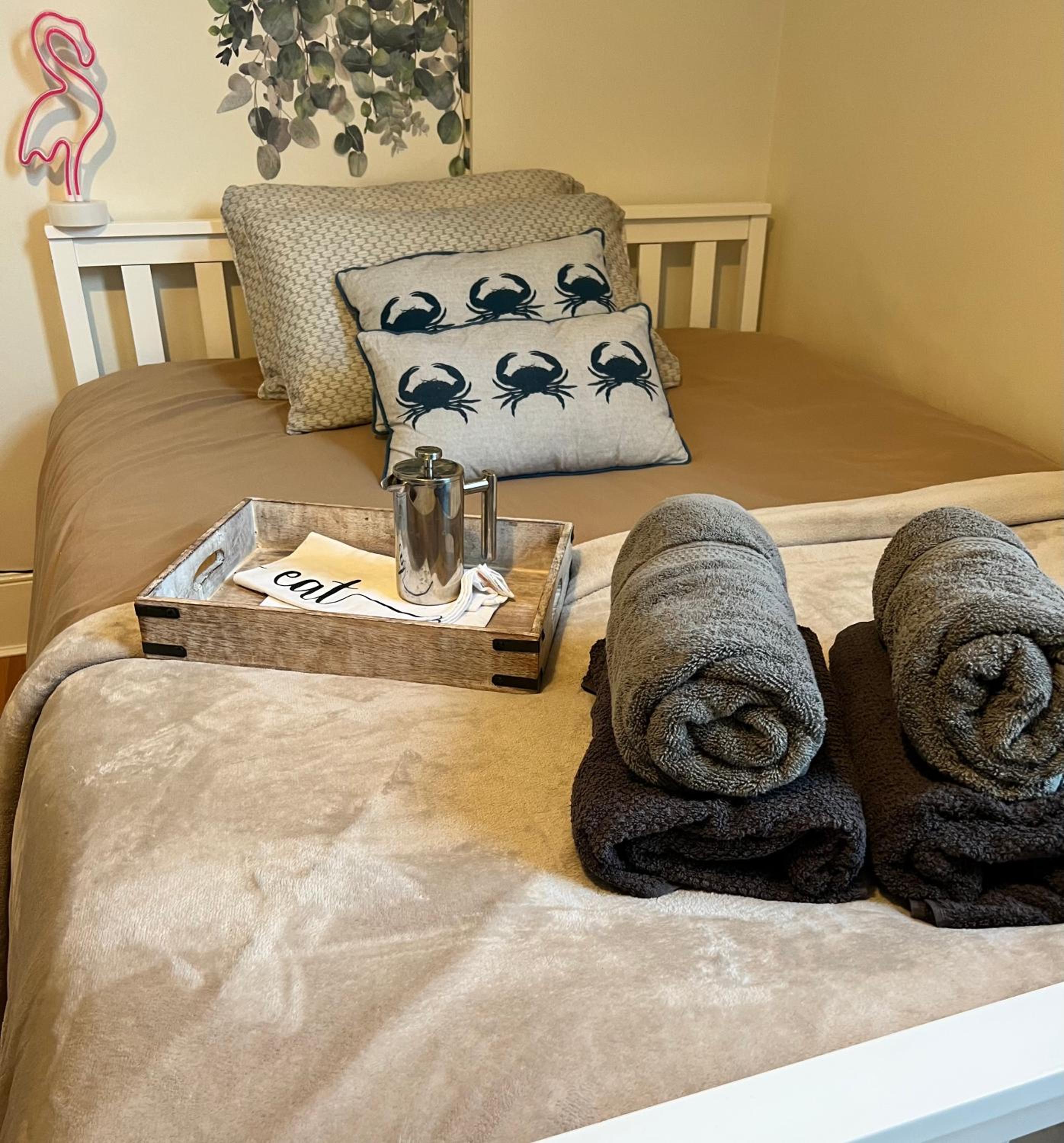Apartment Big Ben, 10 mins to London Bridge, 5 min Croydon, 30 min Airport