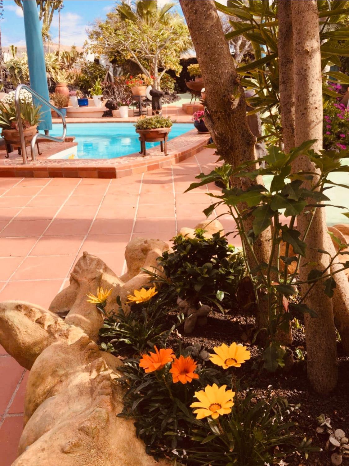 Casa Verde