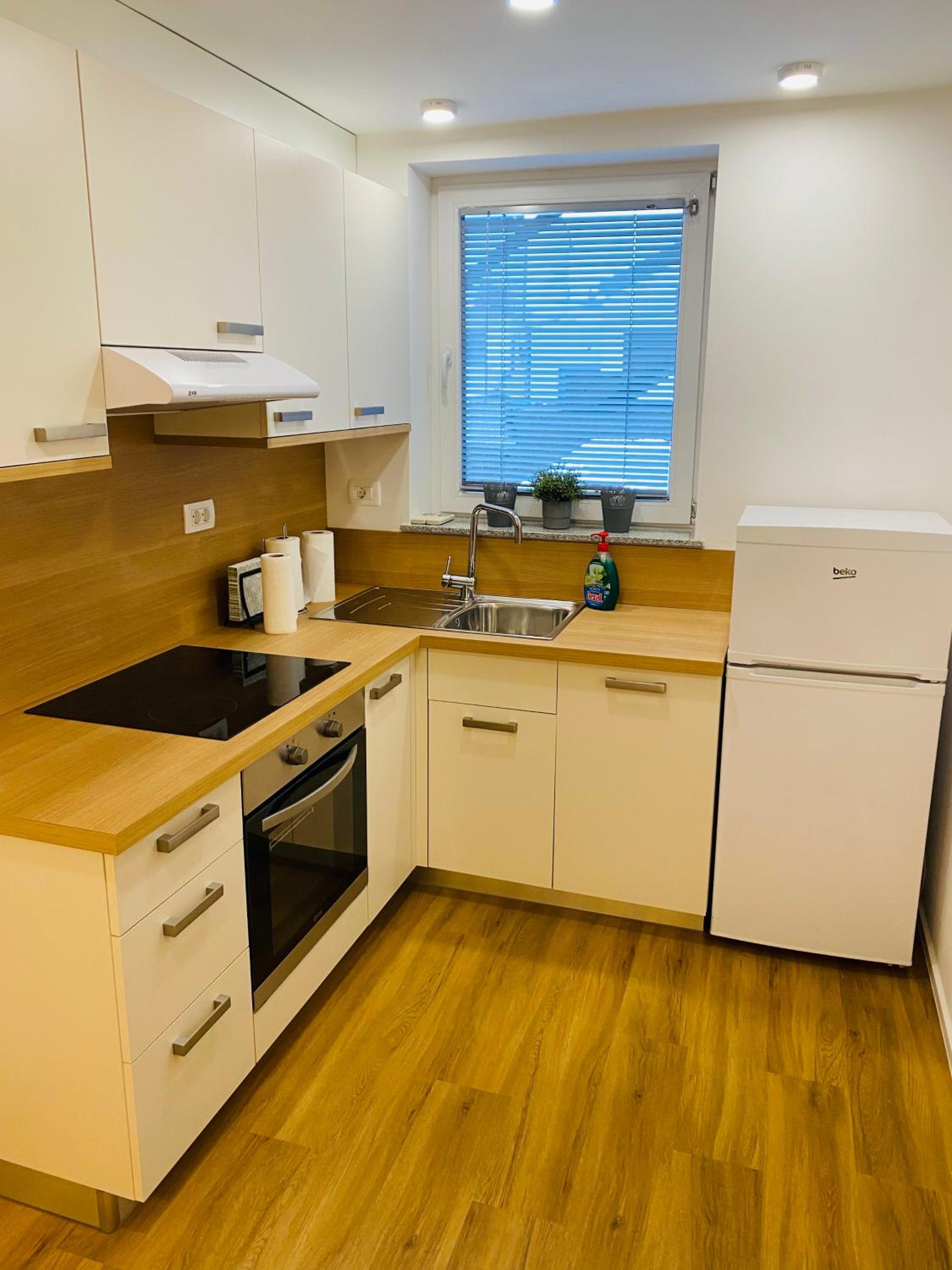 Gogalova Apartments view 2