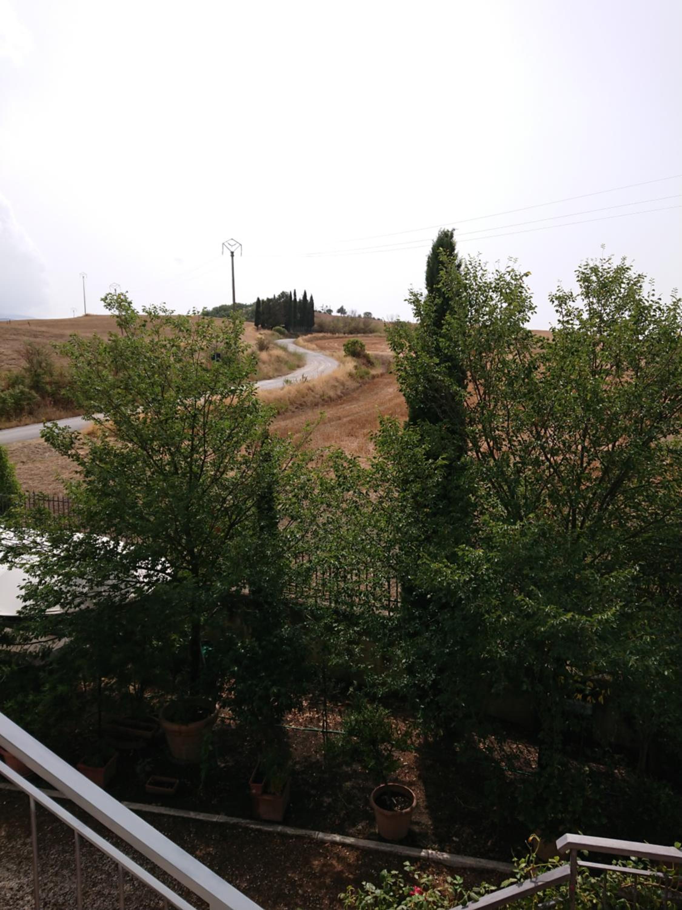 Photo 52