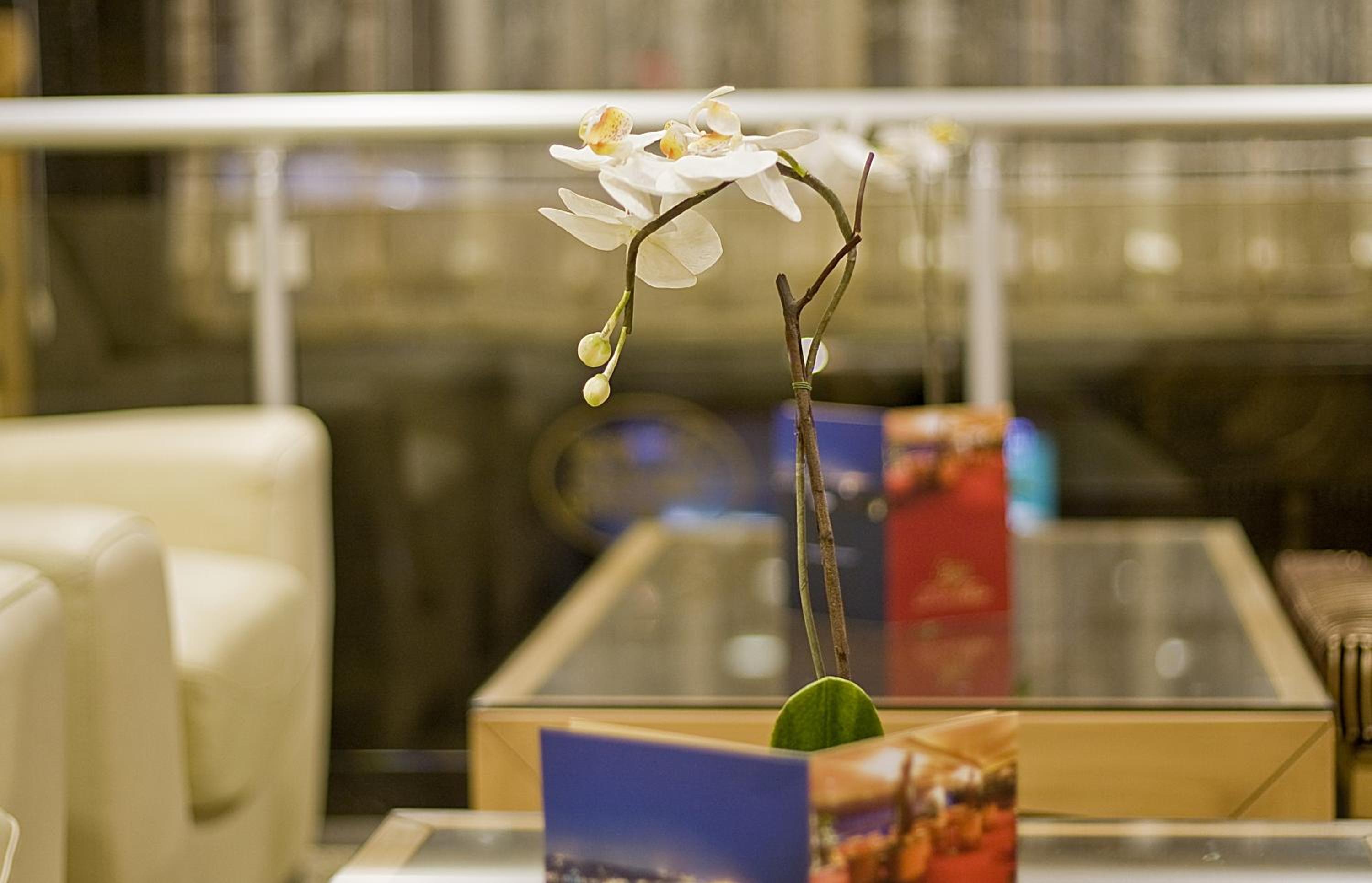 Park Star Otel Taksim - Image 20