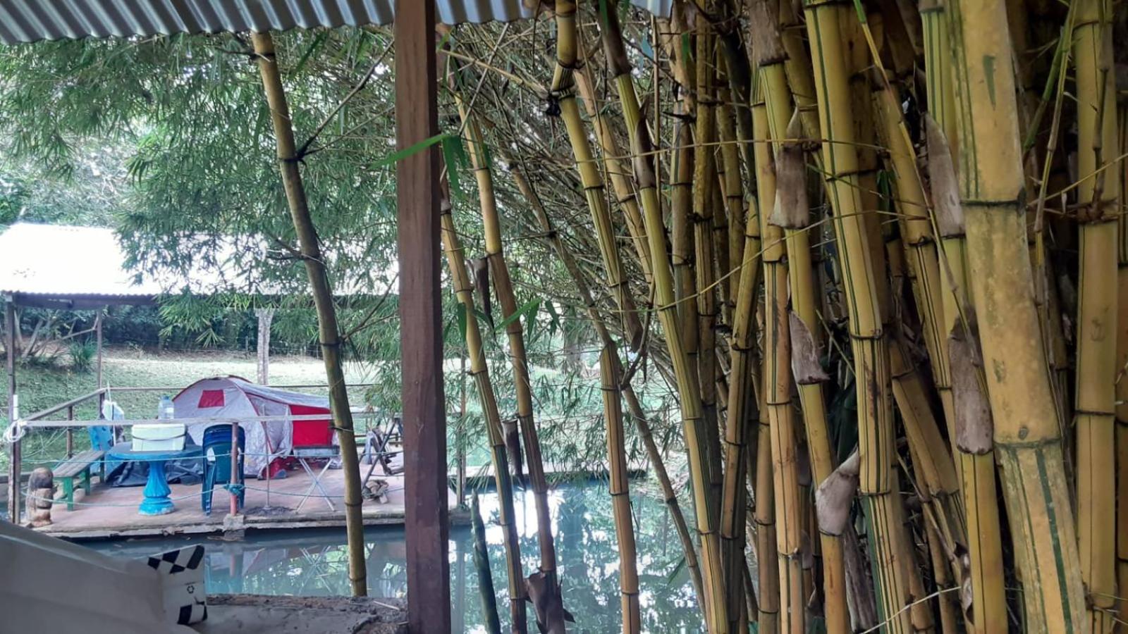 LA CASA DEL BOSQUE Via SALADITO