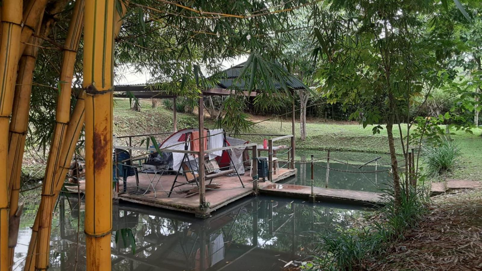 LA CASA DEL BOSQUE Via SALADITO
