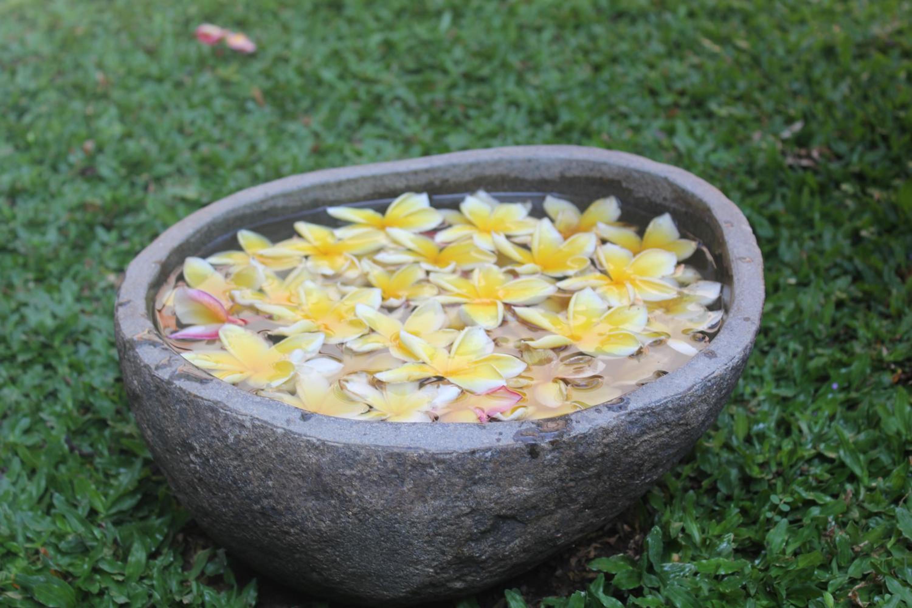 Odah Ayu Guest House