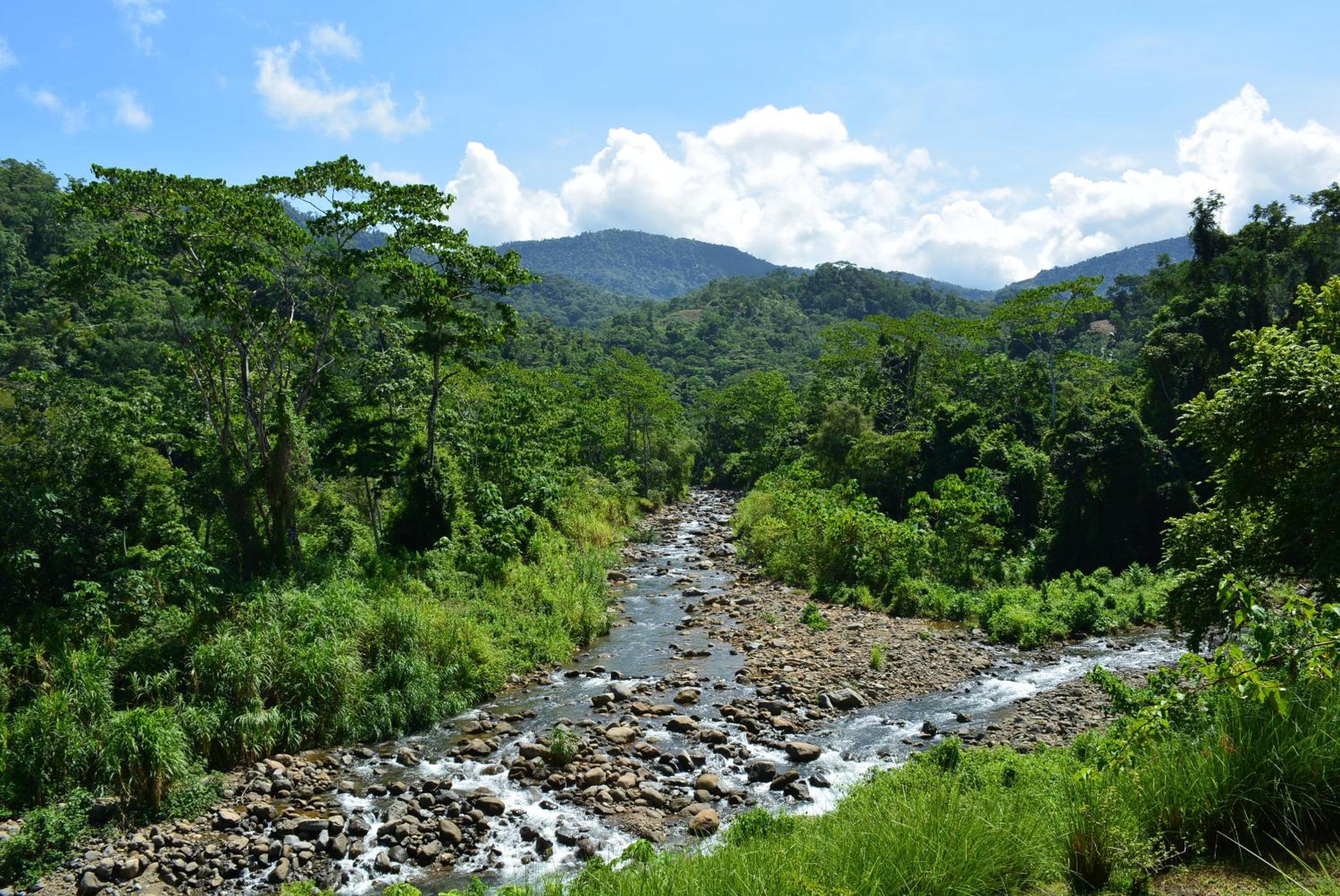 Manoas
