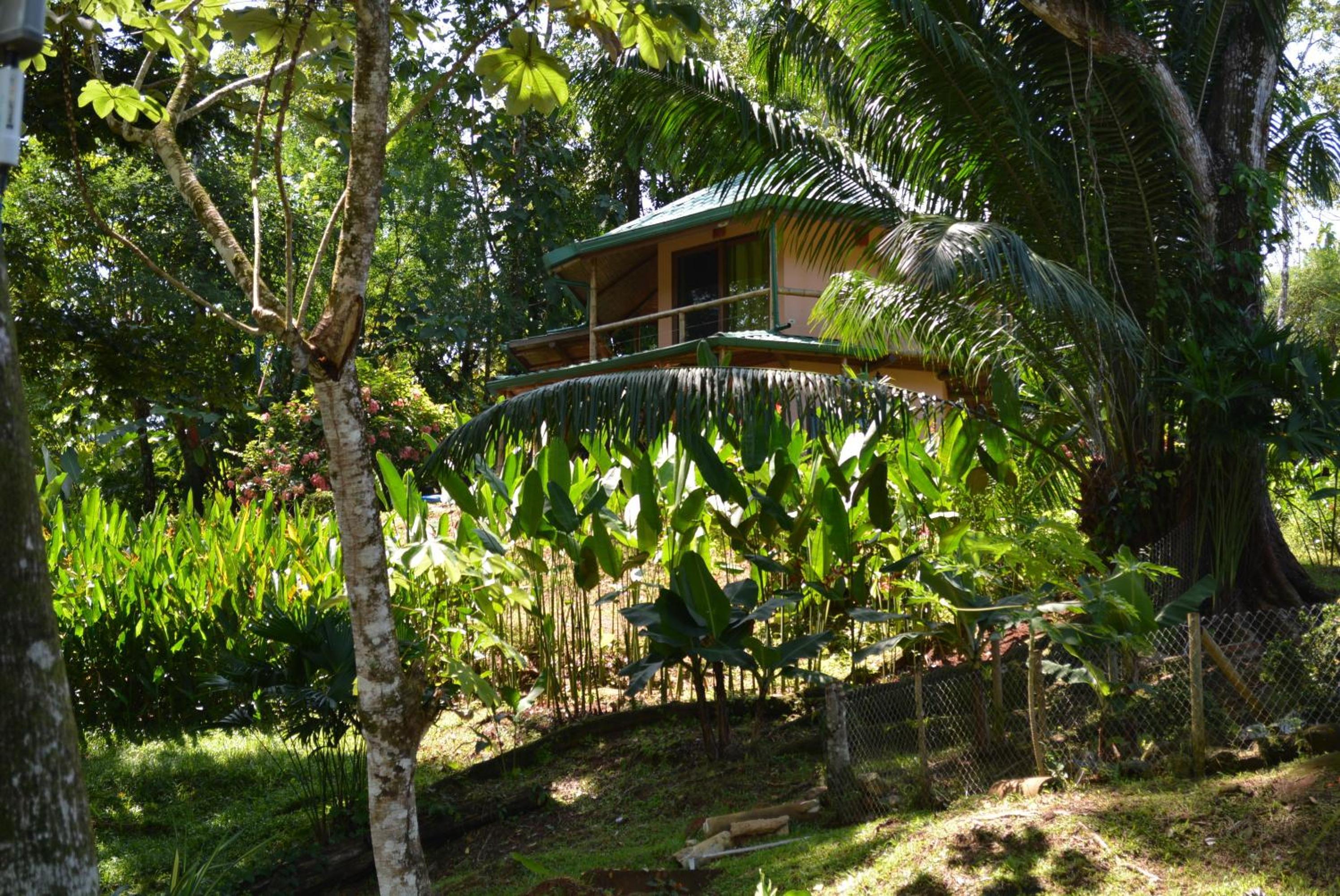 Manoas