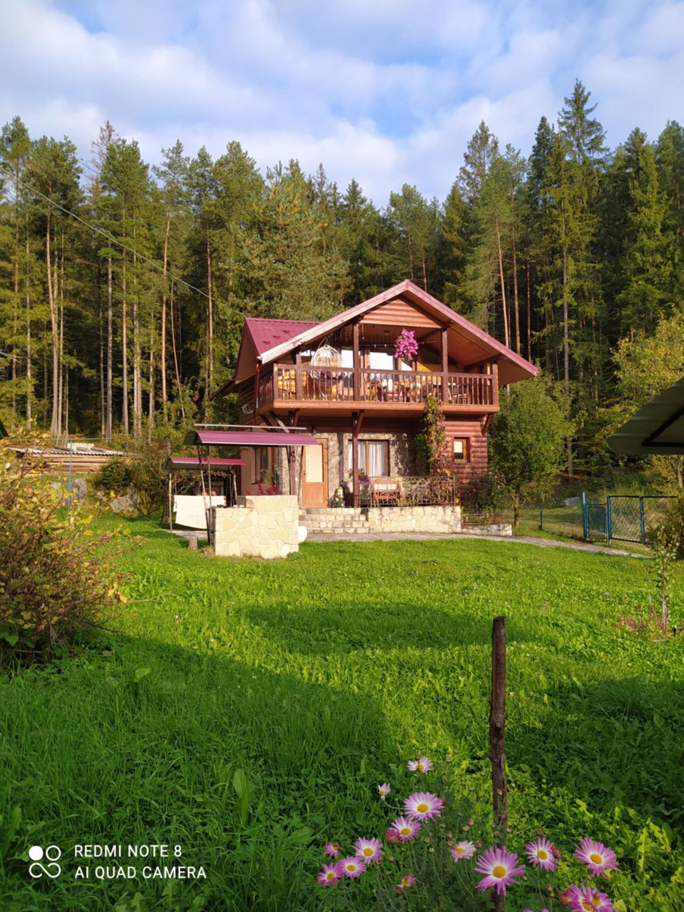 Лісова казка view 2