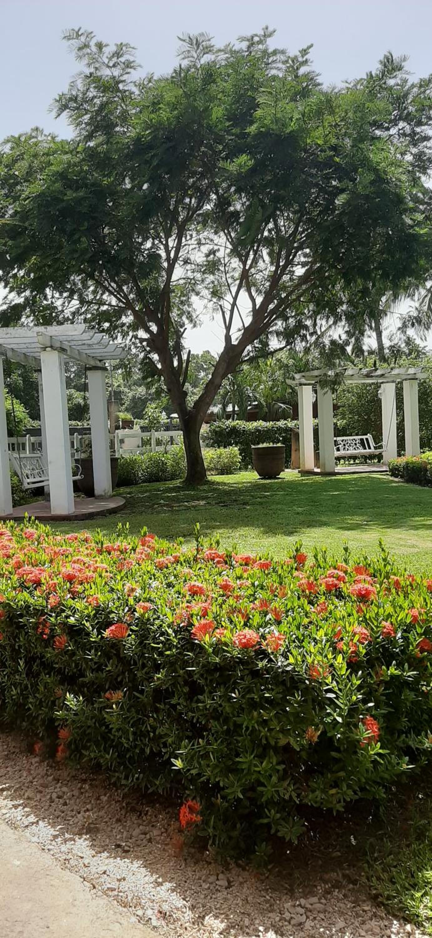 Villa Sueño Potrero