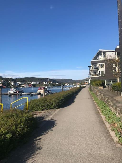 Hus i Porsgrunn sentrum med rolige omgivelser, gangavstand til "alt" & gratis parkering til flere biler view 2