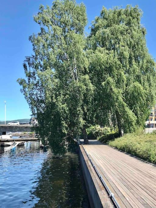 Hus i Porsgrunn sentrum med rolige omgivelser, gangavstand til "alt" & gratis parkering til flere biler view 4