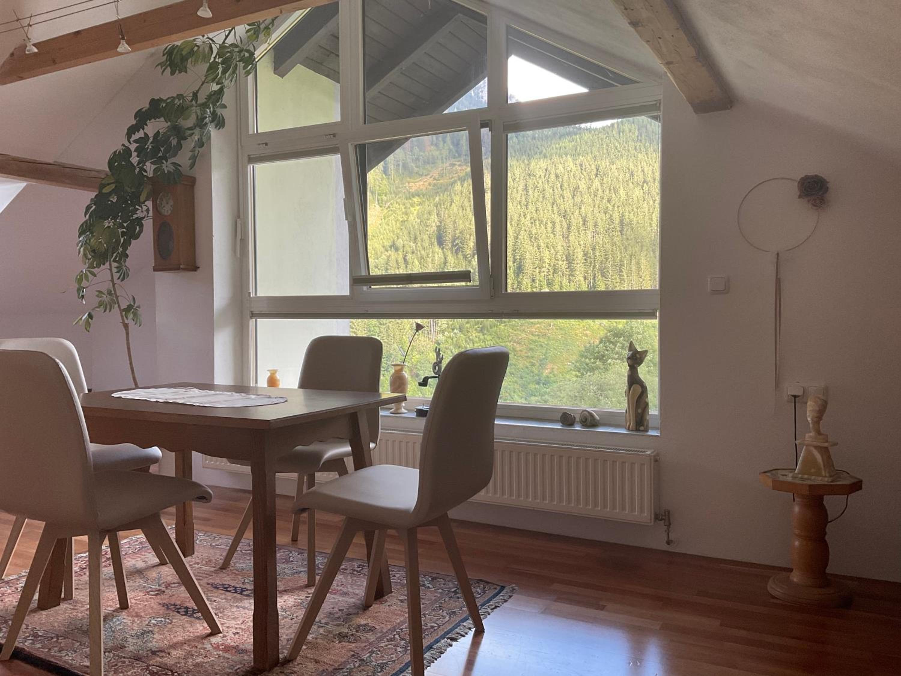 Ferienwohnung Dallinger view 5