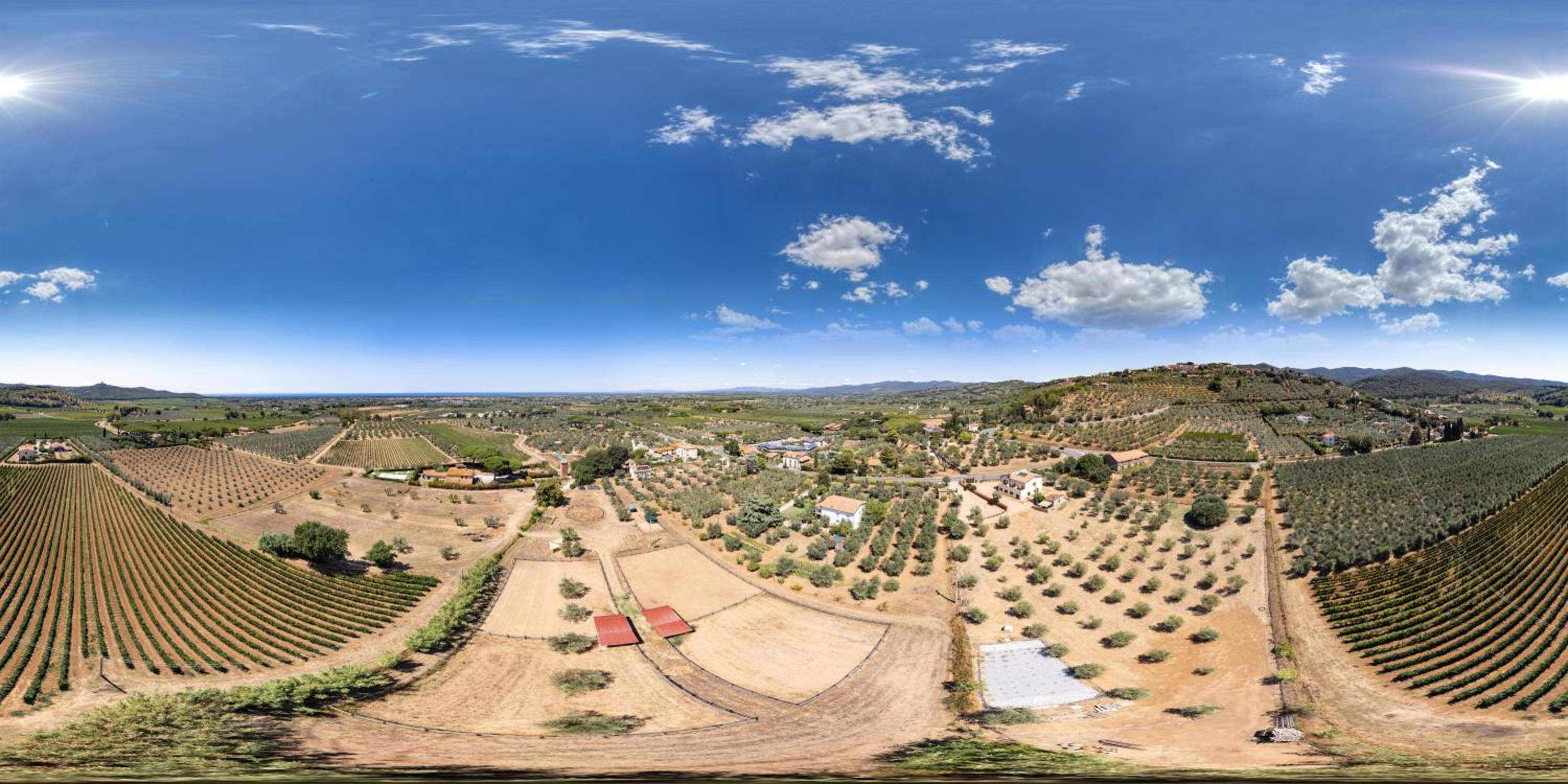 Agriturismo IL VECCHIO OLIVO, Billede 21