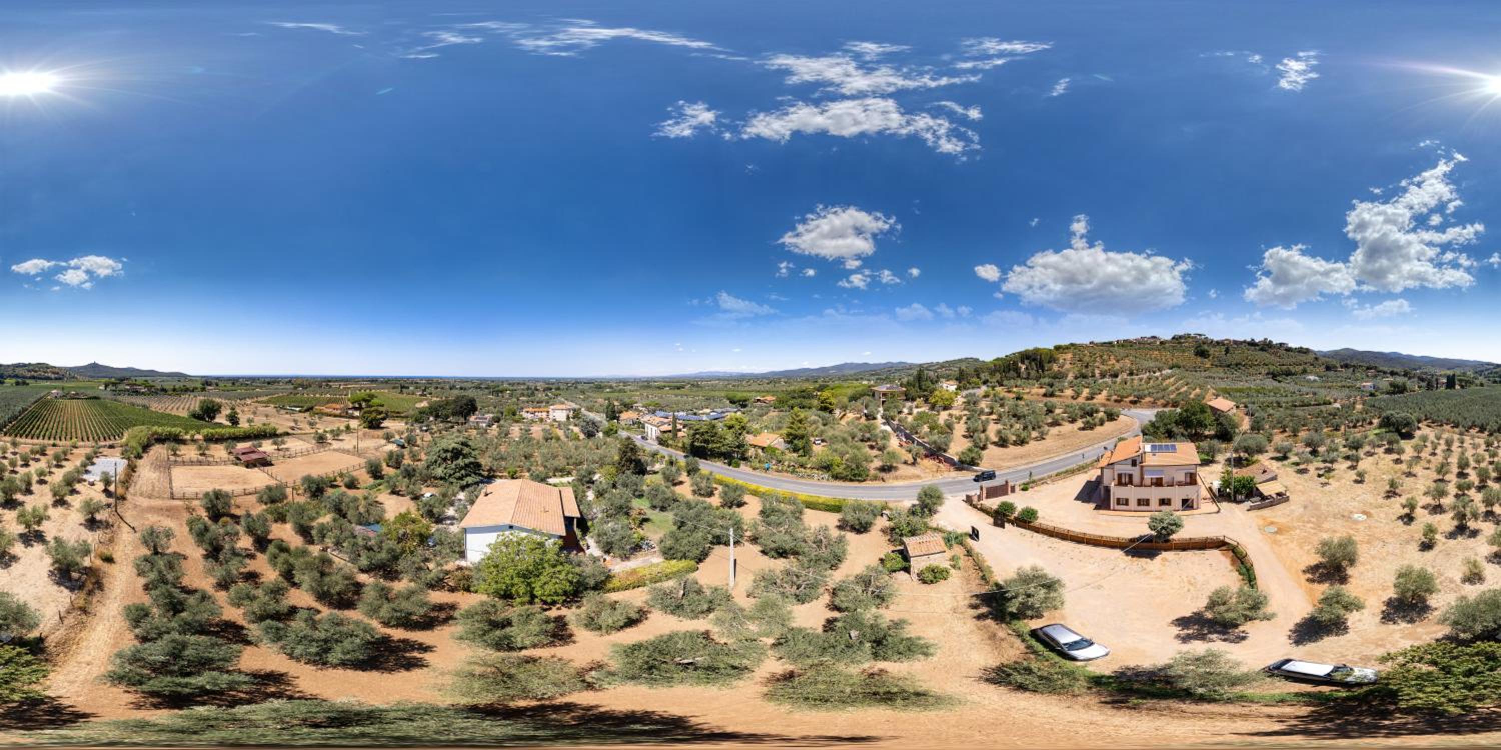 Agriturismo IL VECCHIO OLIVO, Billede 19