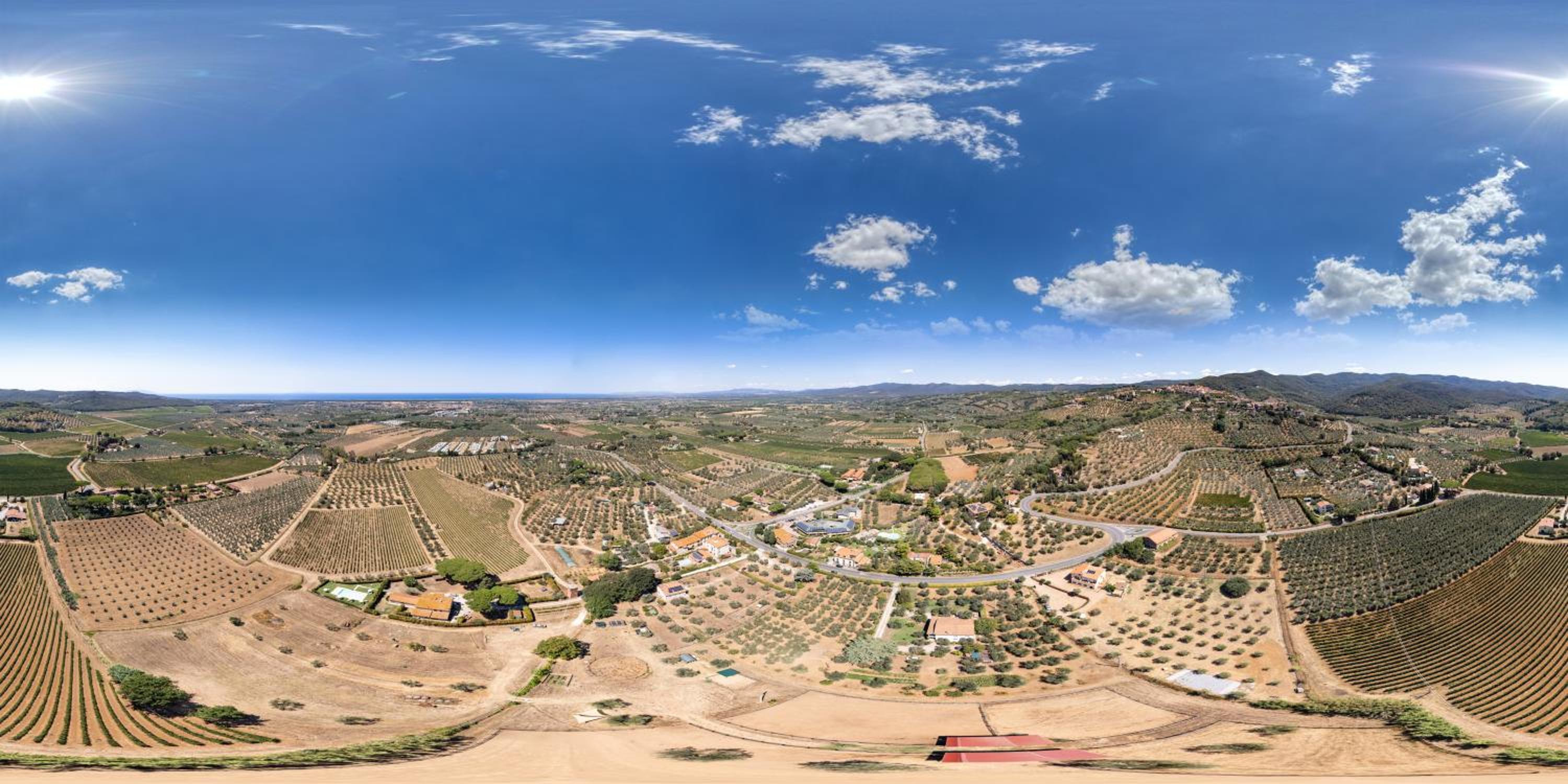 Agriturismo IL VECCHIO OLIVO