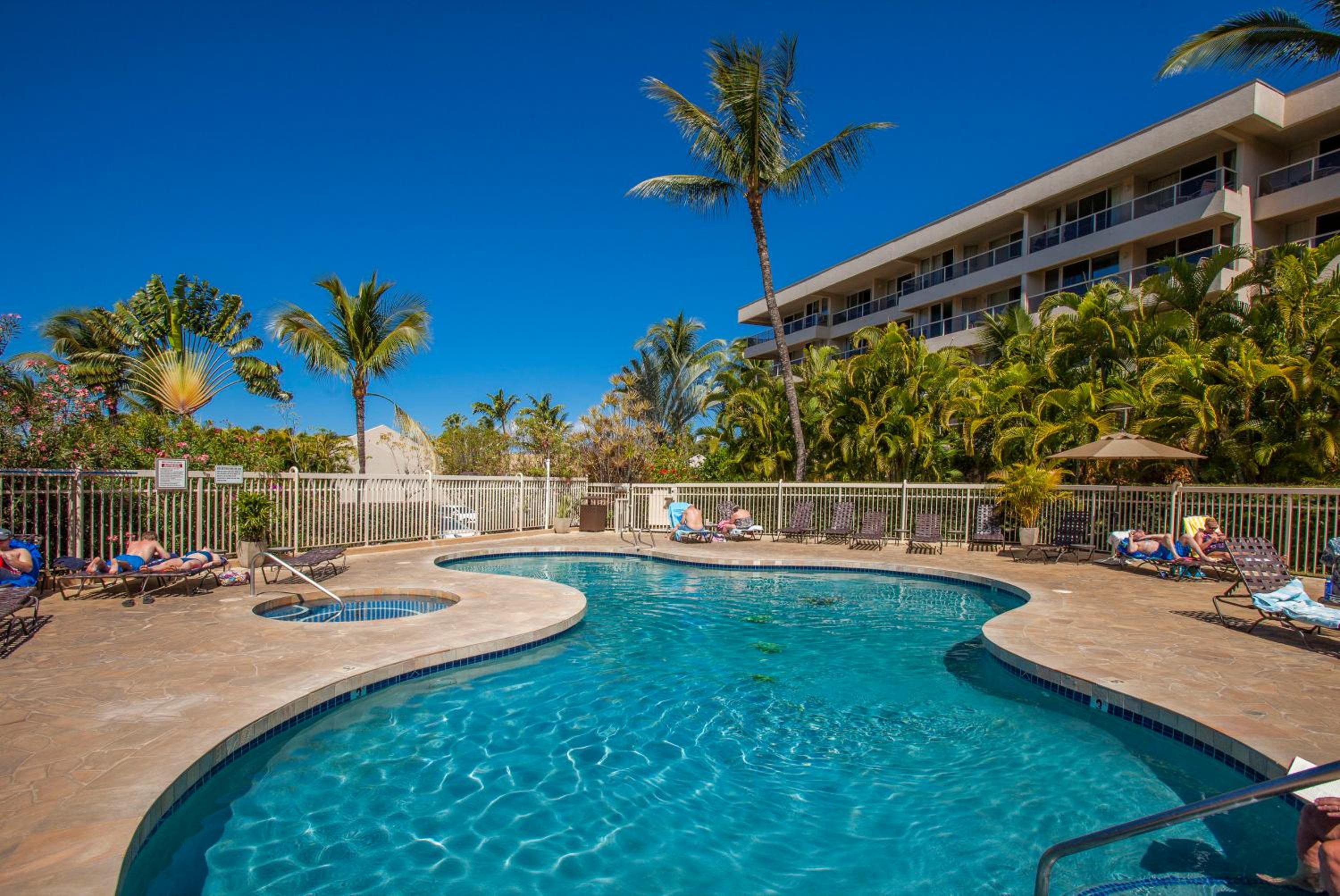 Maui Banyan H311 1BD 2BA 3 min walk to the beach in the Heart of South Kihei! view 5