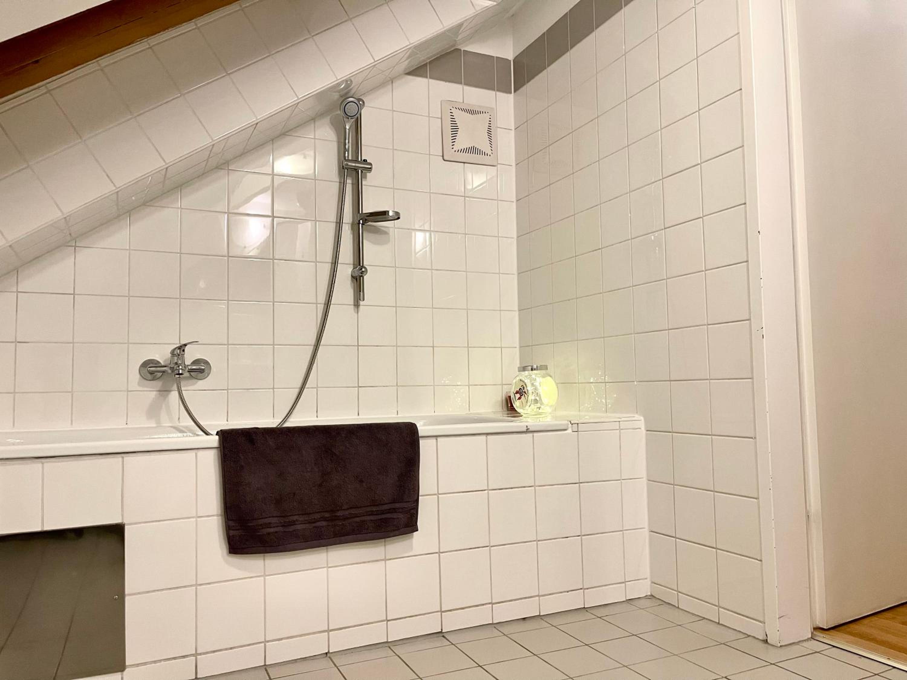 Klimatisiertes, Ruhiges Dachgeschoß CityApartment im Zentrum Wiens