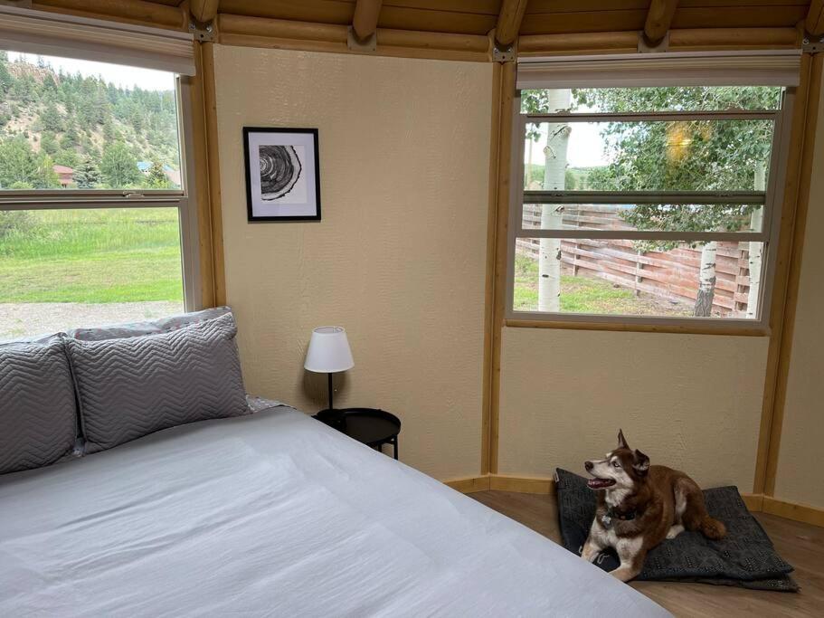 Lodgepole Yurt at Aspen Ridge Cabins view 4