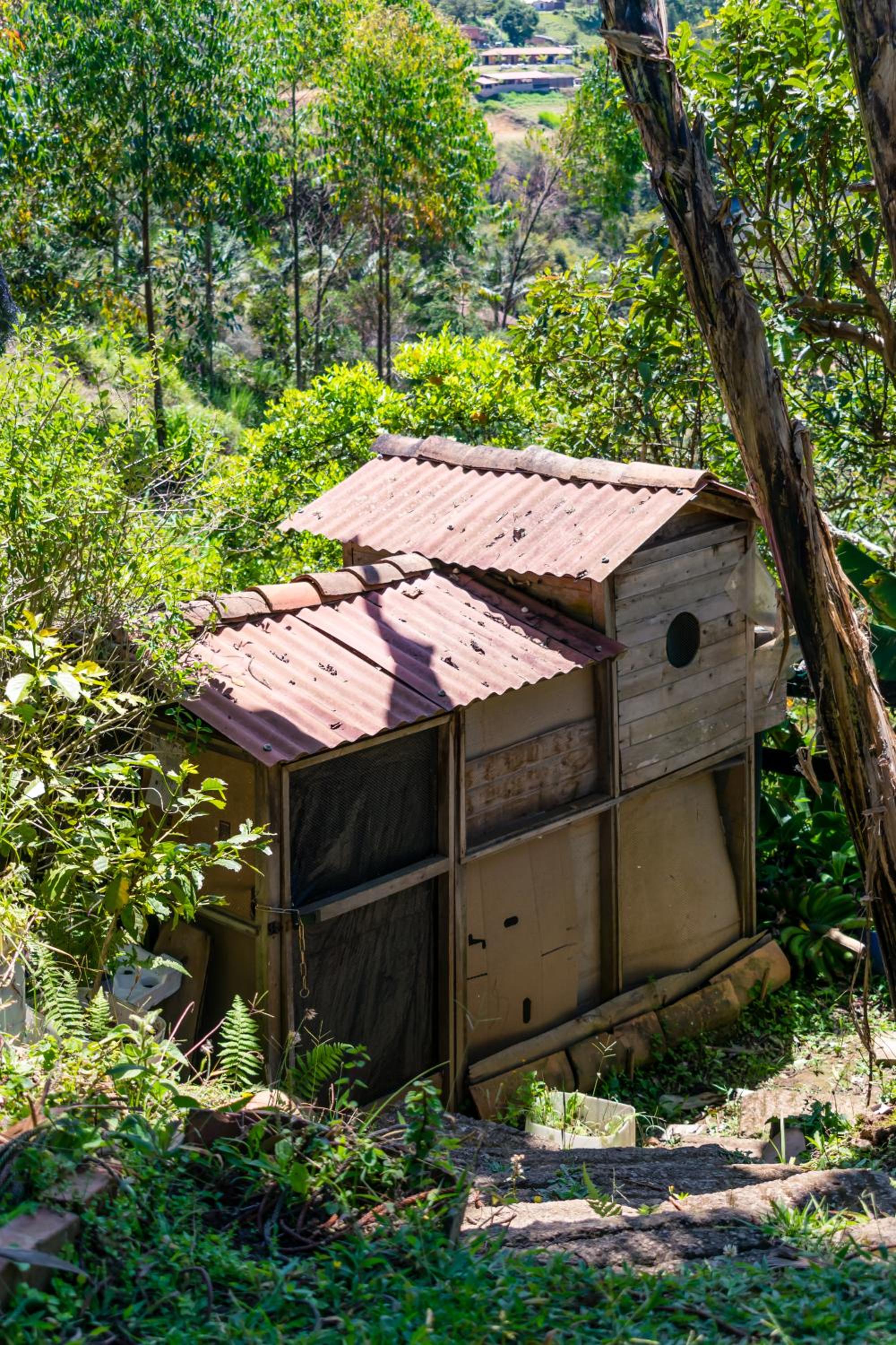 FINCA COCUYAL Hospedaje típico paisa